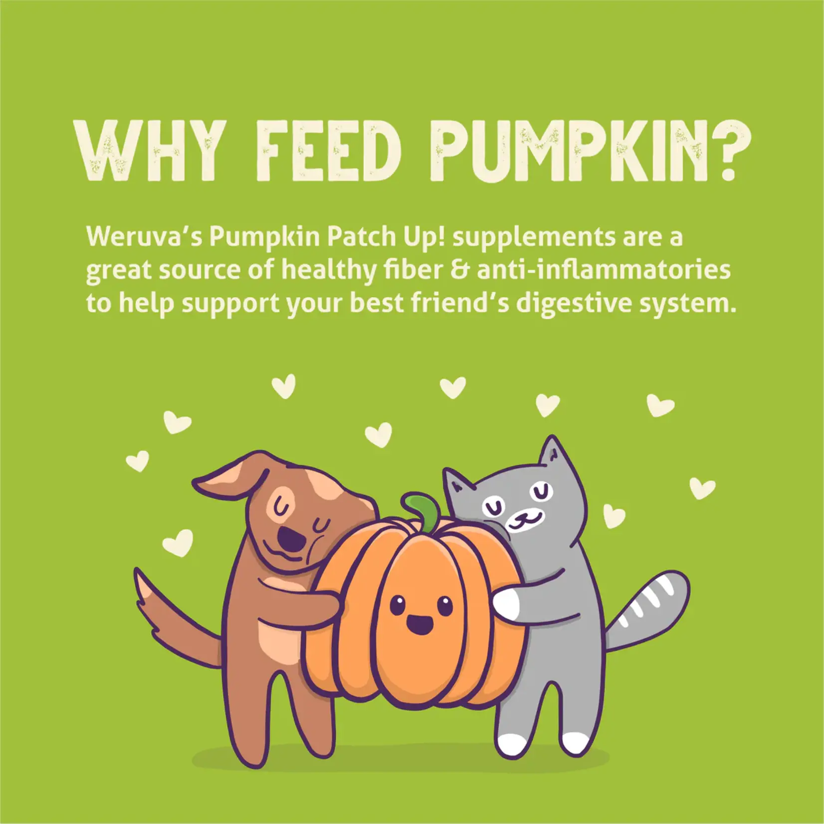 Weruva Weruva The Happy Belly Maker Pumpkin + Ginger + Turmeric Cat&Dog 2.8oz