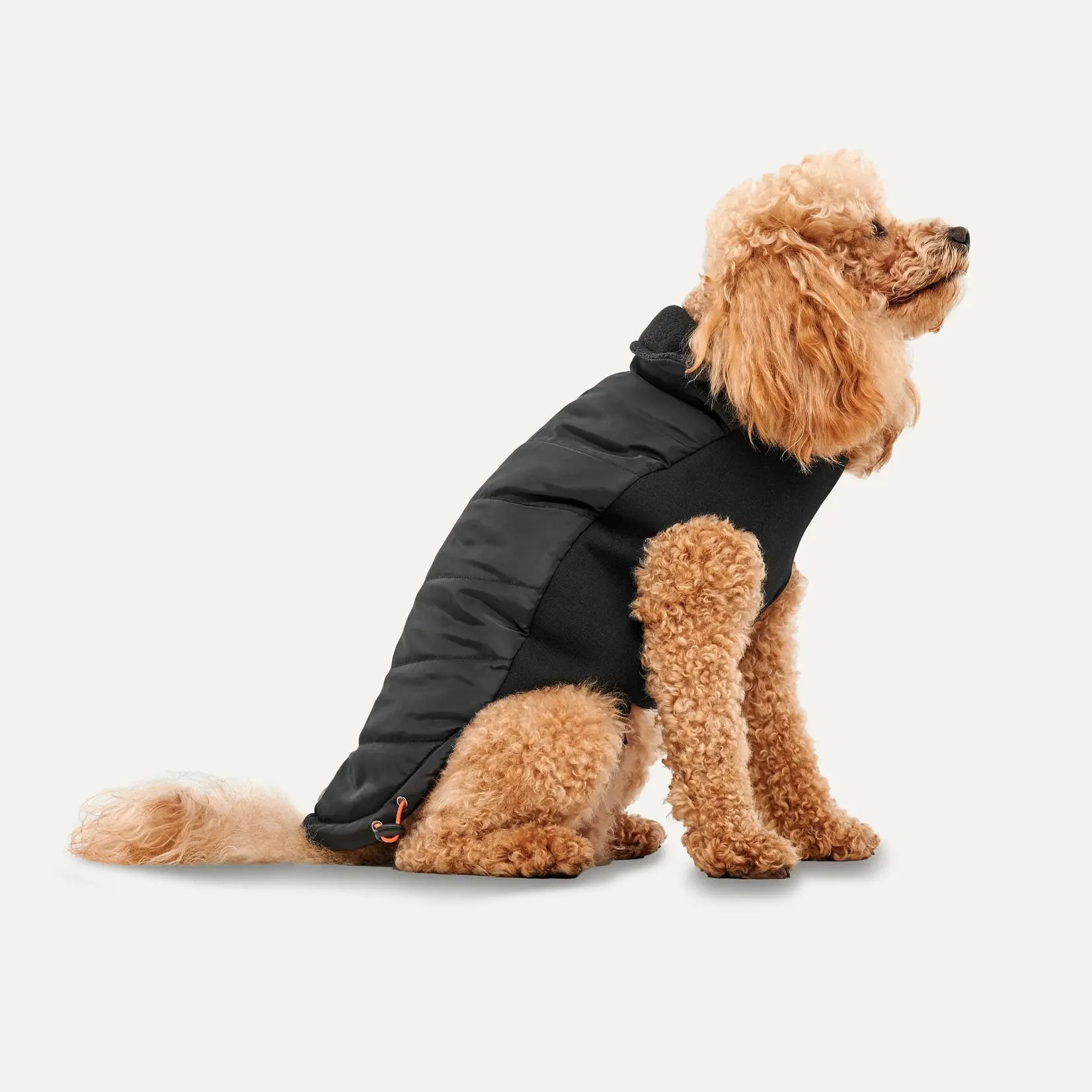 Mock Neck Signature Wrap Dog Jacket Black