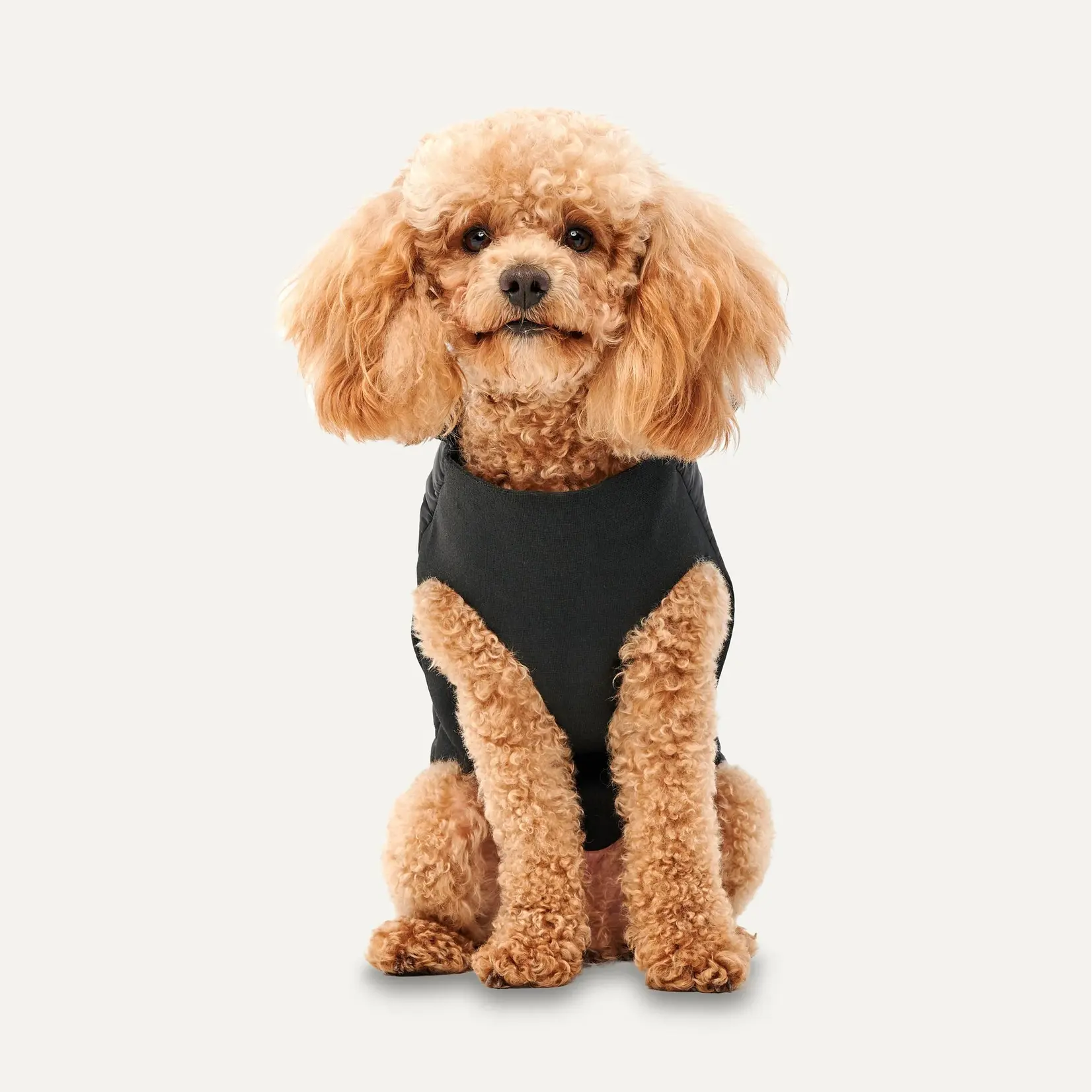 Mock Neck Signature Wrap Dog Jacket Black