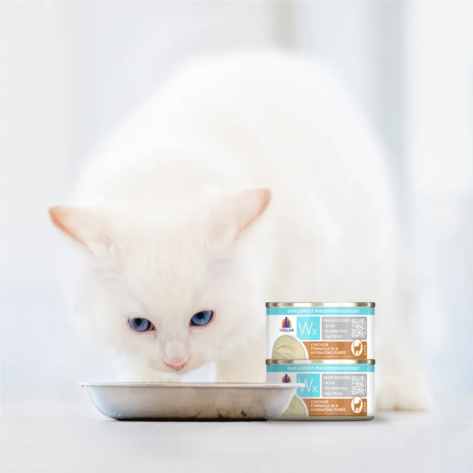 Weruva Weruva Wx Chicken Formula in a Hydrating Pate Cat Wet Food 12x3Oz