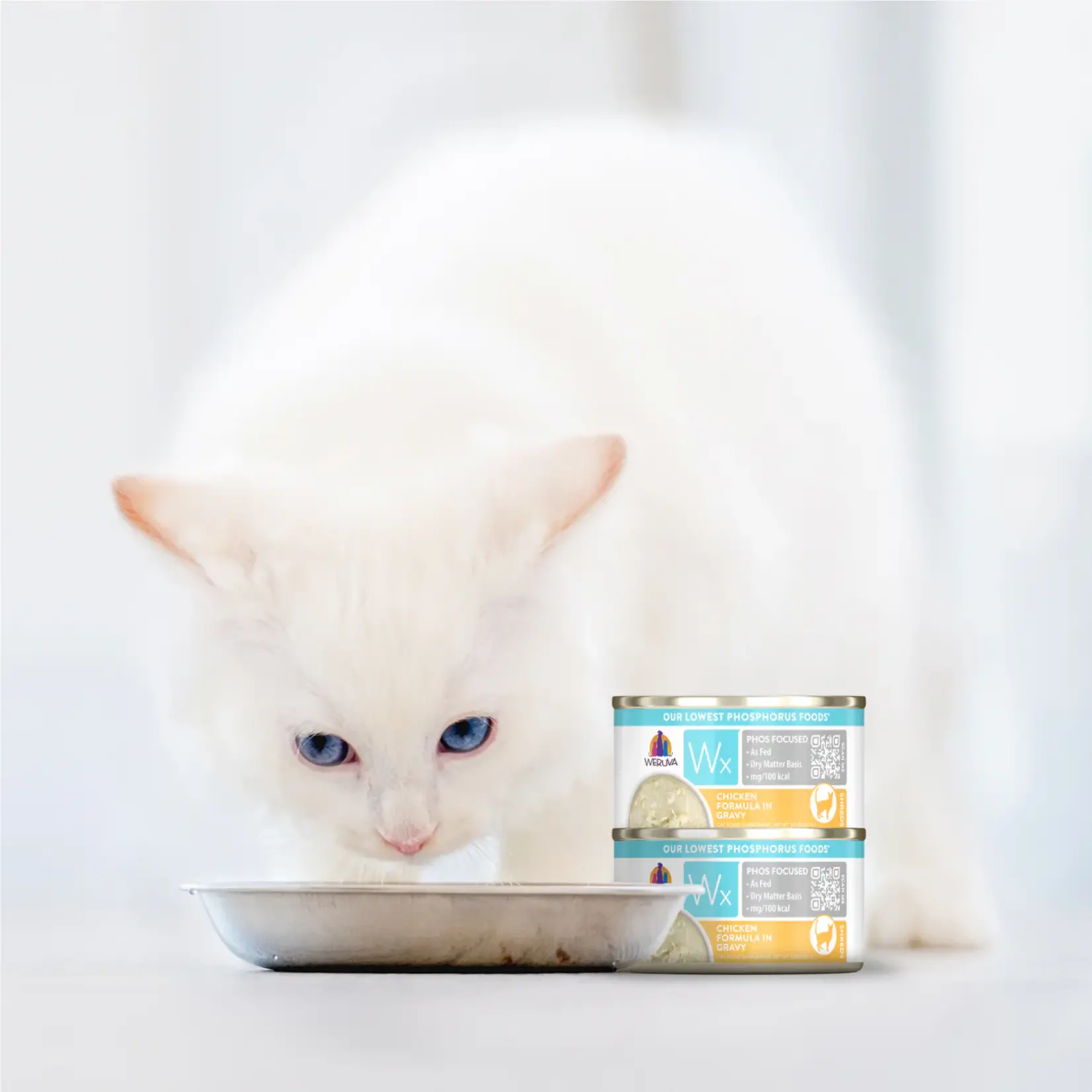 Weruva Weruva Wx Chicken Formula in Gravy Cat Wet Food 12x3Oz
