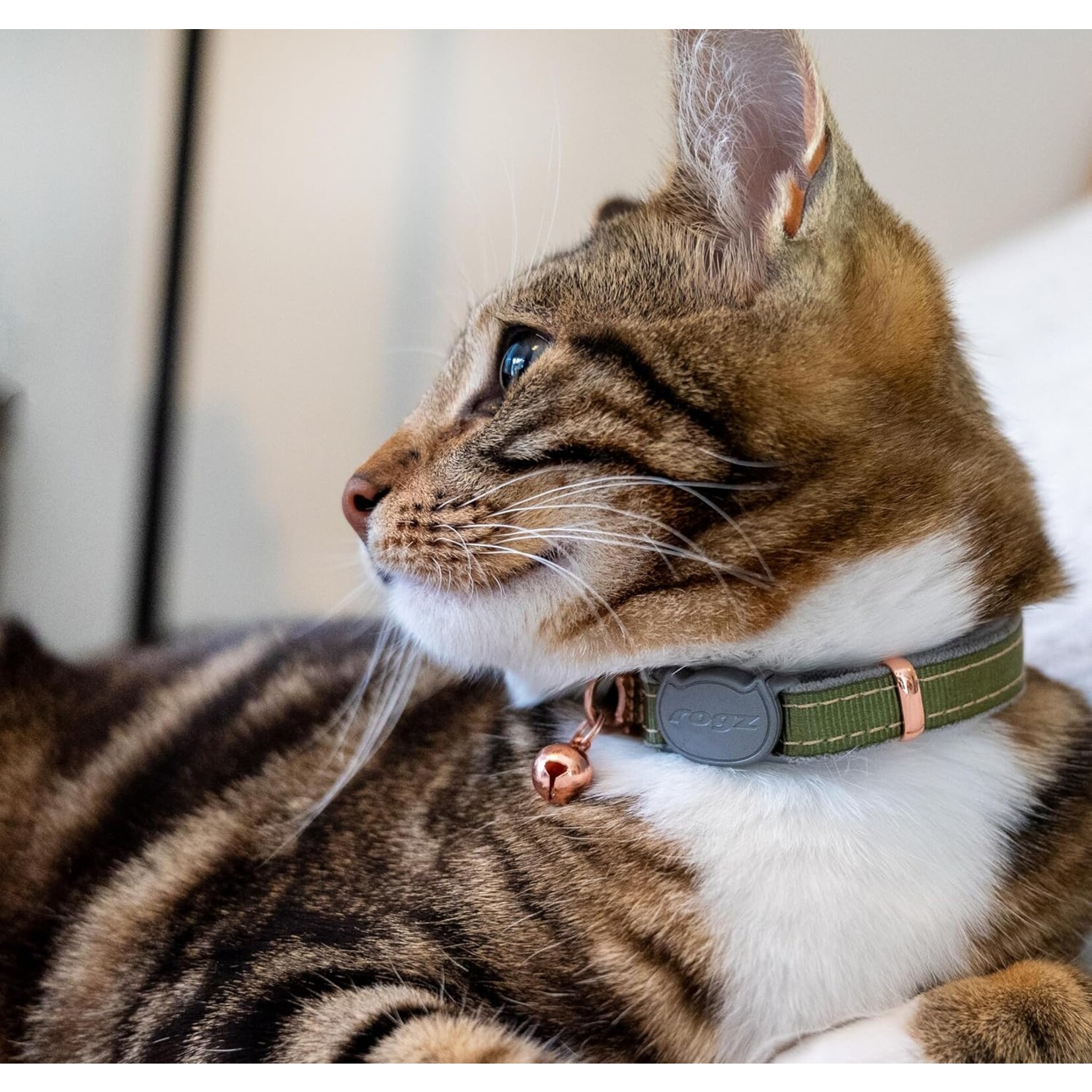Rogz Rogz Urban Cat Safety Collar 8 - 12in