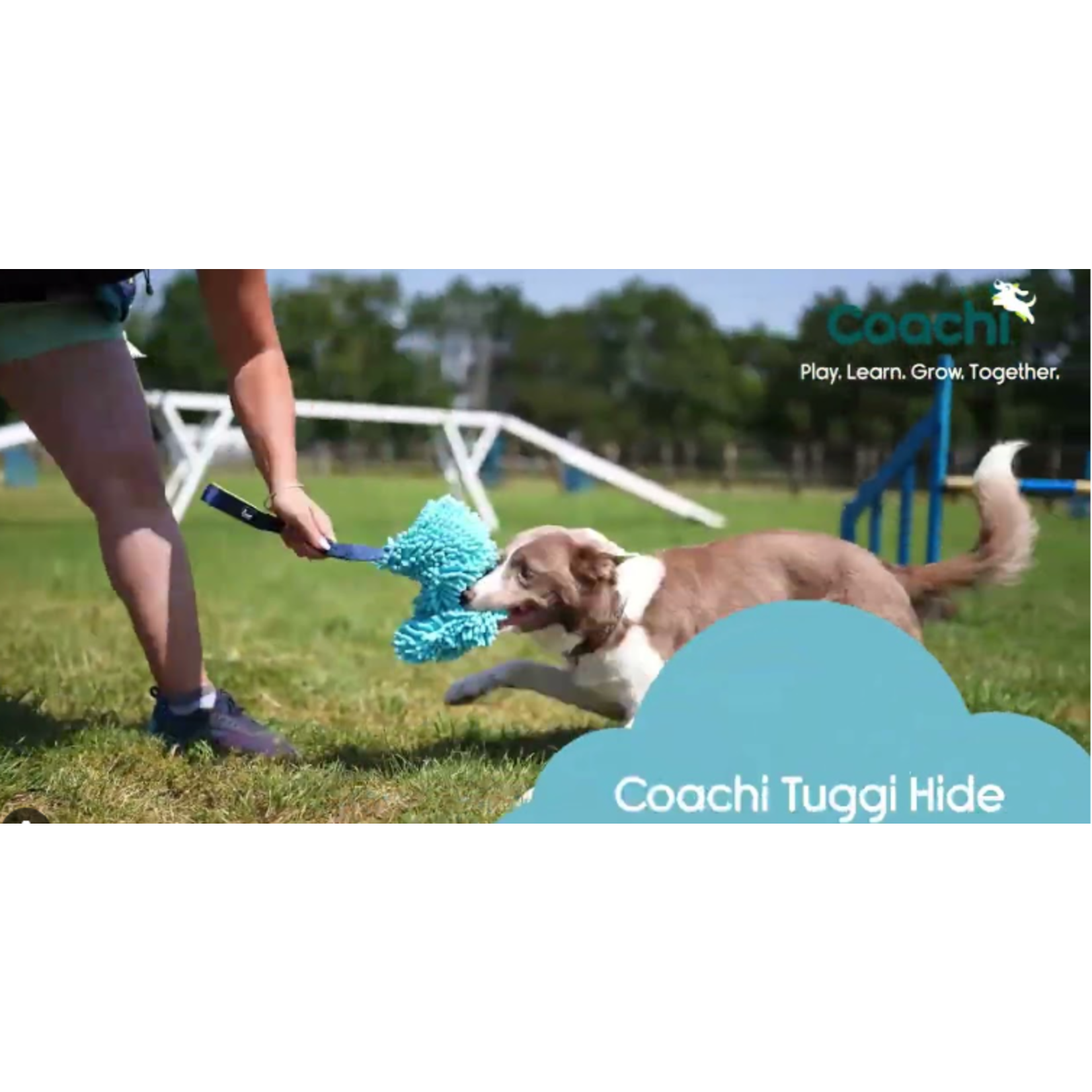 Coachi Tuggi Hide Play