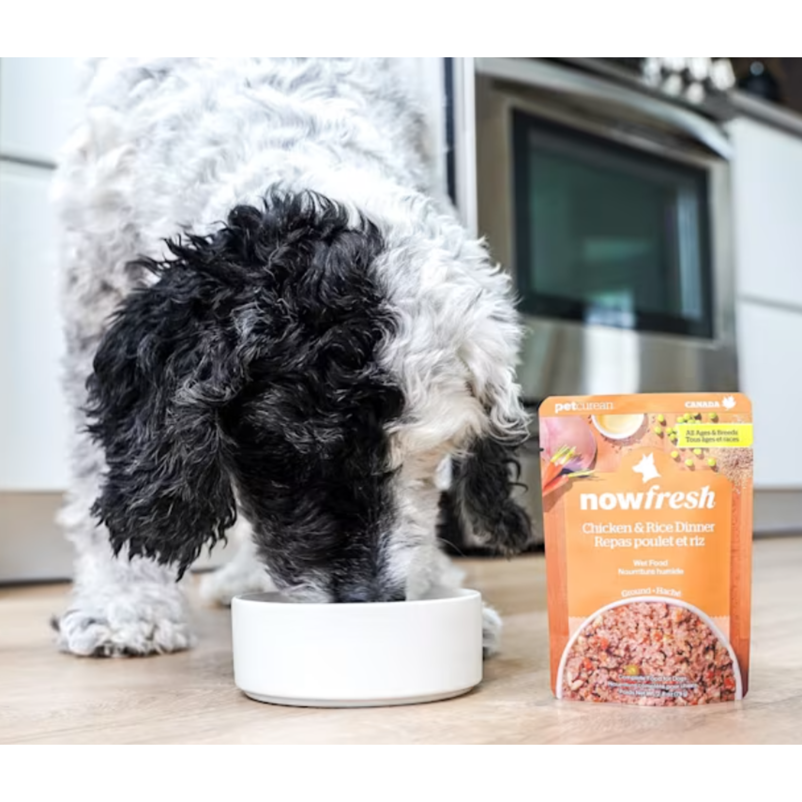 NOW Fresh Now Fresh Wet Dog Food Ground Chicken & Rice Dinner 2.8OZ