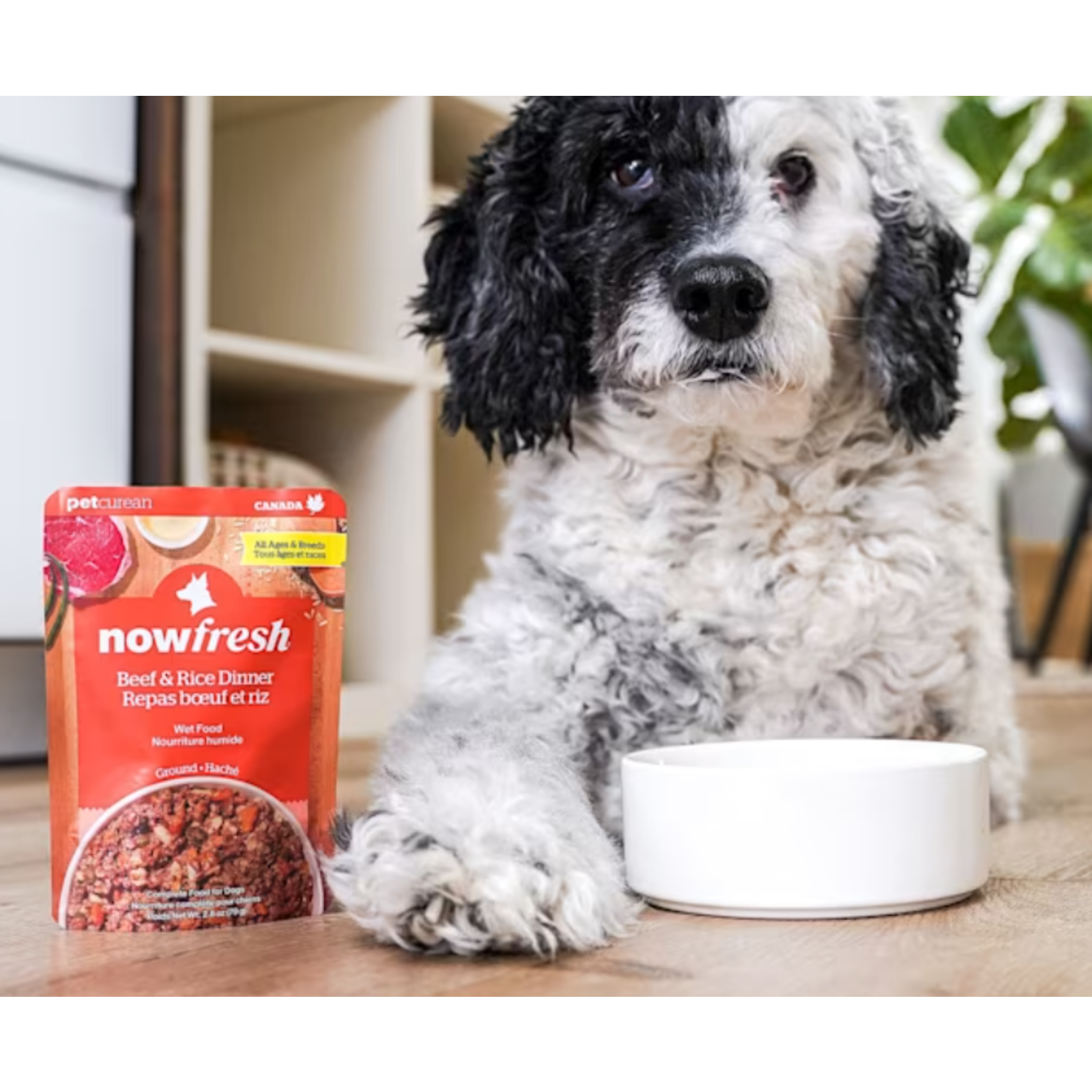NOW Fresh Now Fresh Wet Dog Food Ground Beef & Rice Dinner 2.8oz