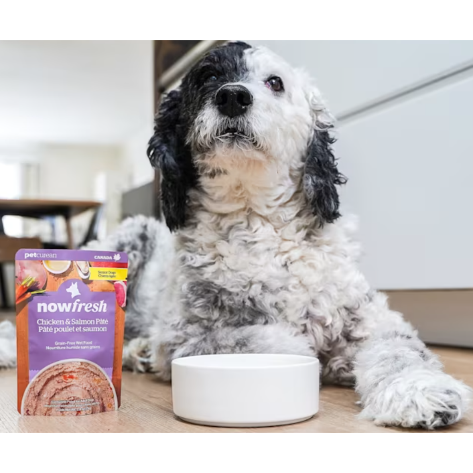 NOW Fresh Now Fresh Wet Dog Food Grain Free Chicken & Salmon Pate 2.8OZ