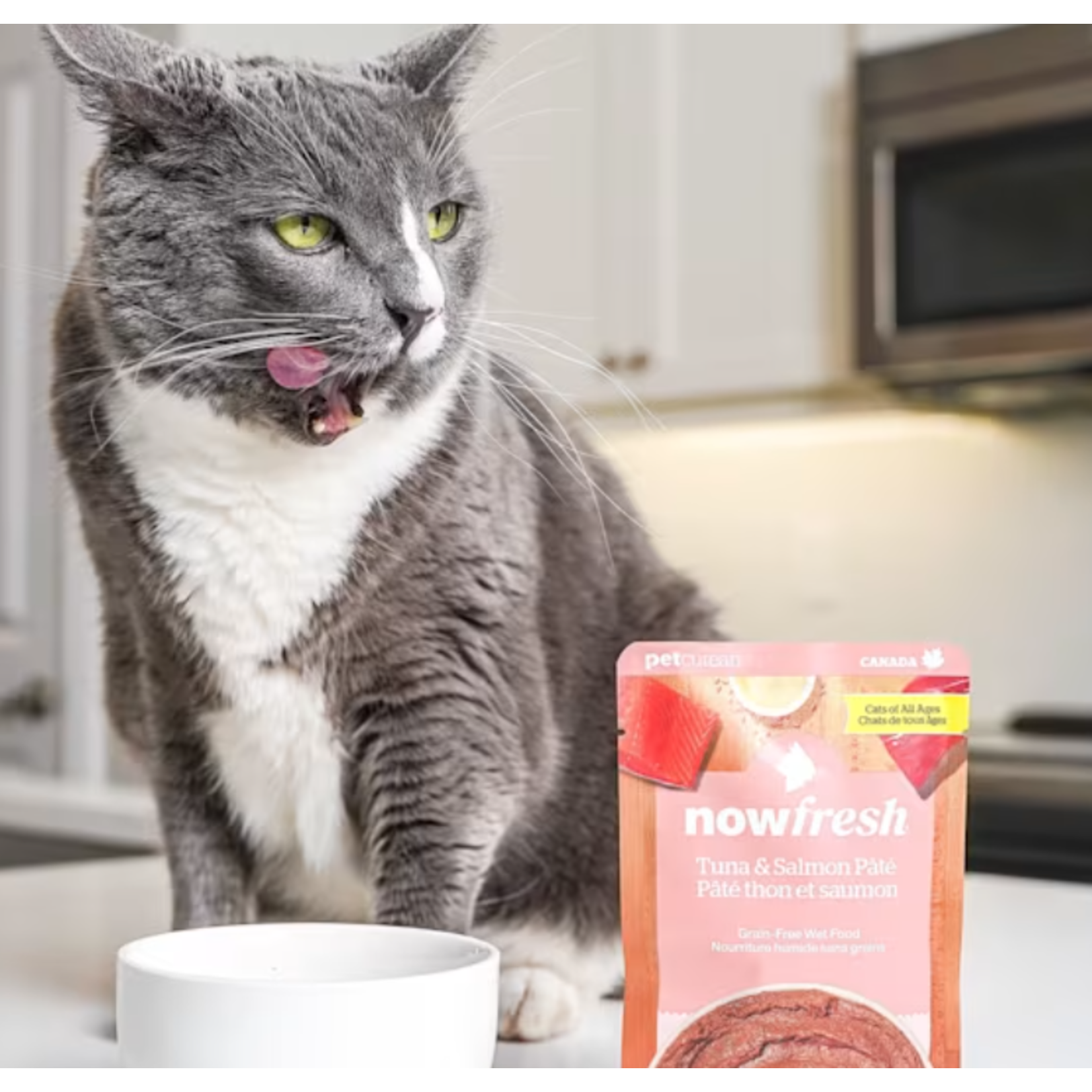 NOW Fresh Now Fresh Cat Wet Food Grain Free Tuna & Salmon Pate 2.5 OZ
