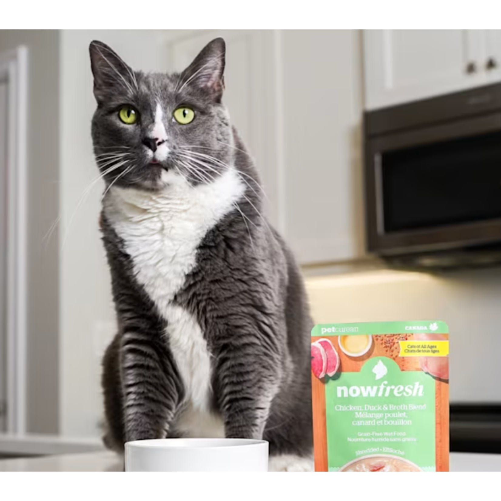 NOW Fresh Now Fresh Cat Wet Food Grain Free Shredded Chicken & Duck & Broth 2.5 OZ