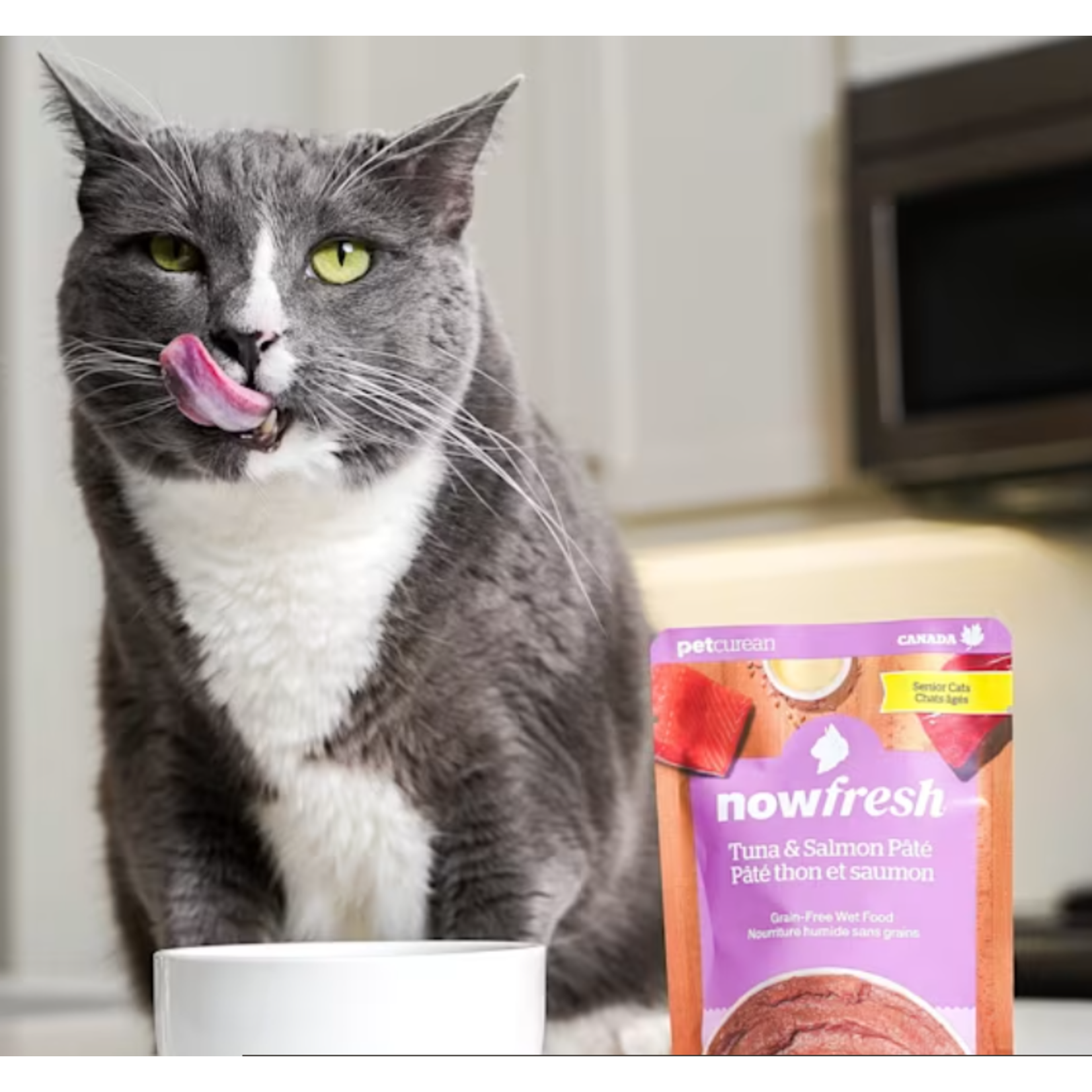 NOW Fresh Now Fresh Cat Wet Food Grain Free Senior Tuna & Salmon Pate 2.5 OZ