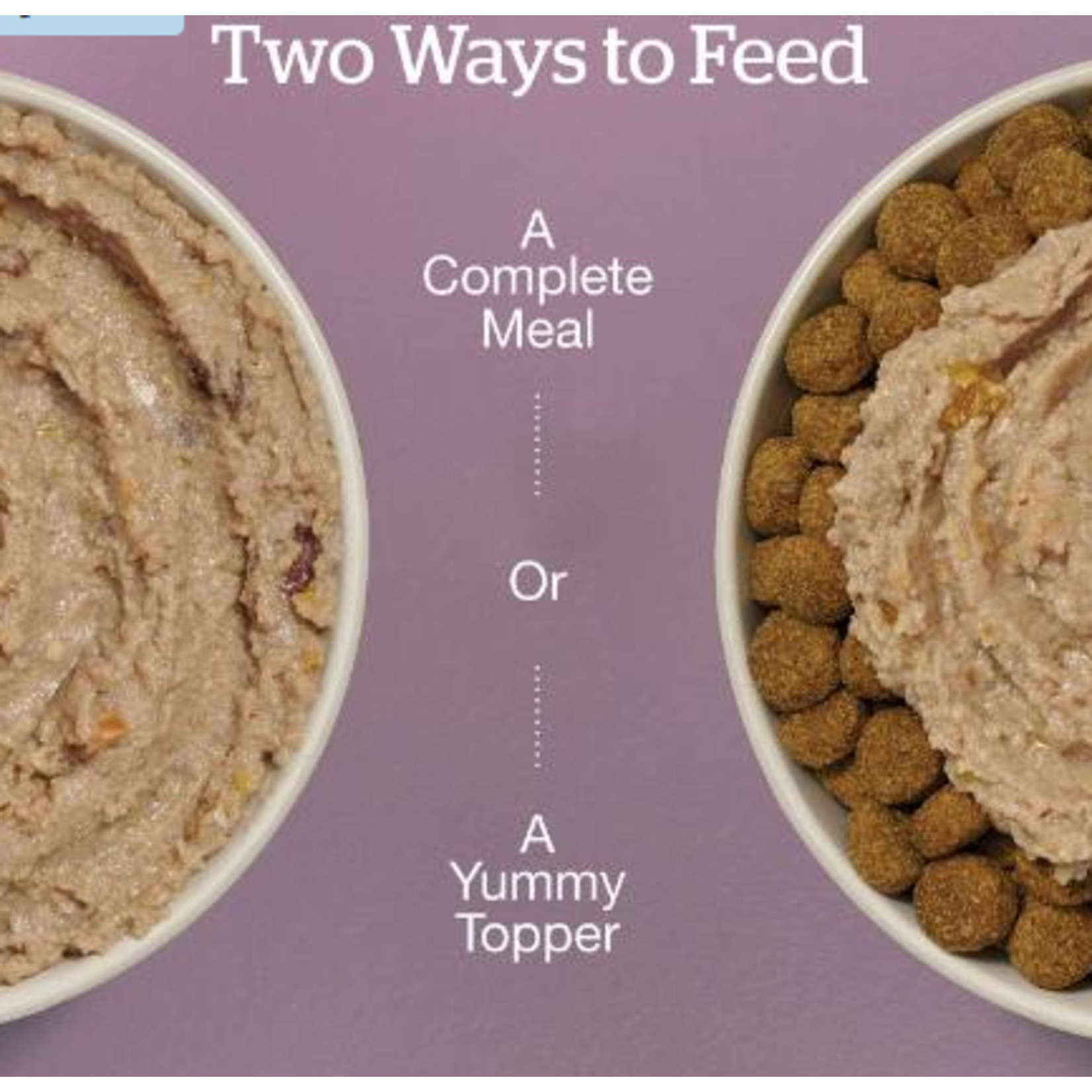 NOW Fresh Now Fresh Wet Dog Food Grain Free Chicken & Salmon Pate 2.8OZ