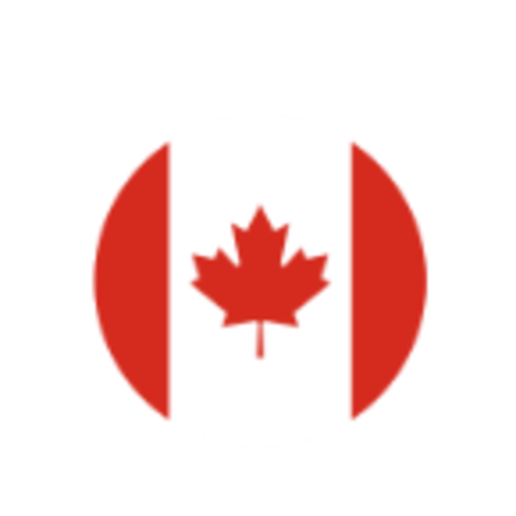 This & That Snack Station Great Canadian Sticks