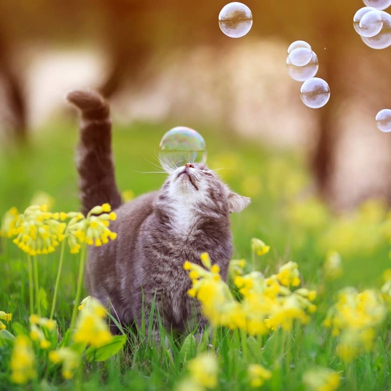 Catnip Garden Bubbles 5OZ