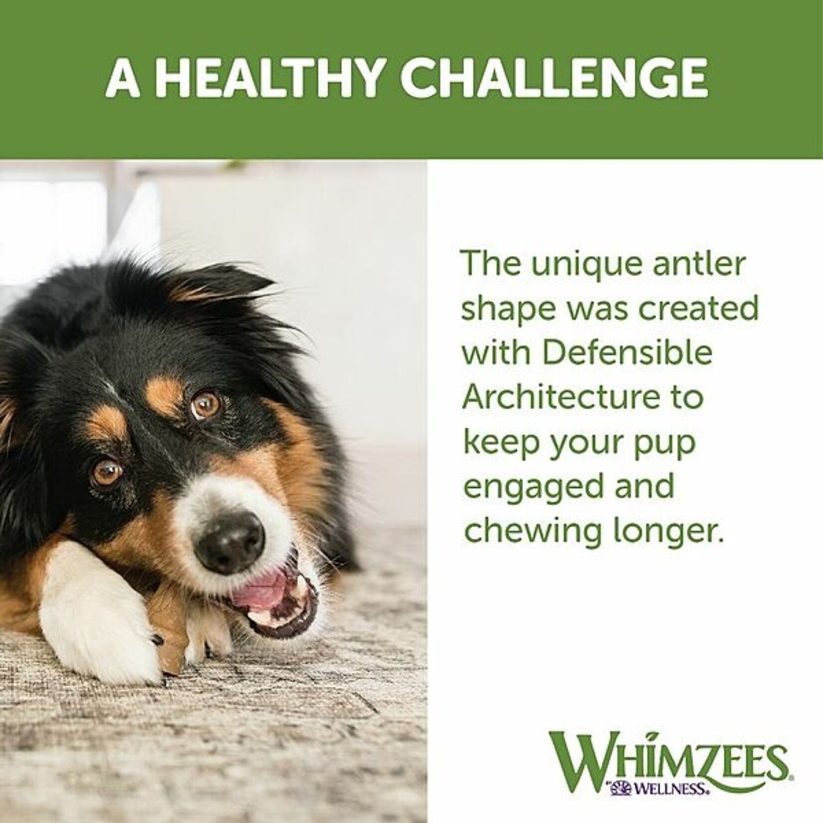 Whimzees Occupy Chews Value Bag Medium 12pk