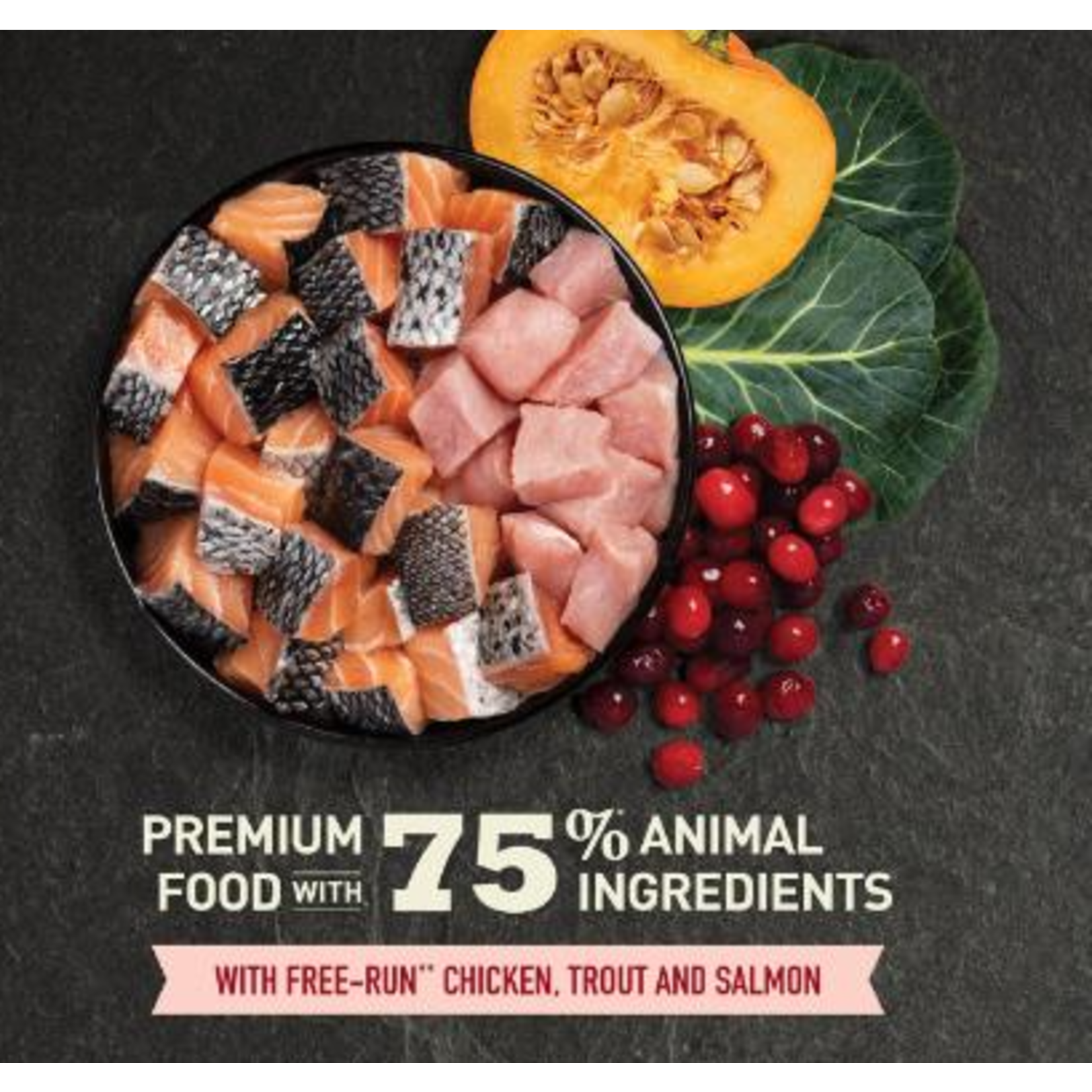 ACANA Acana Cat Highest Protein Indoor cat Adult