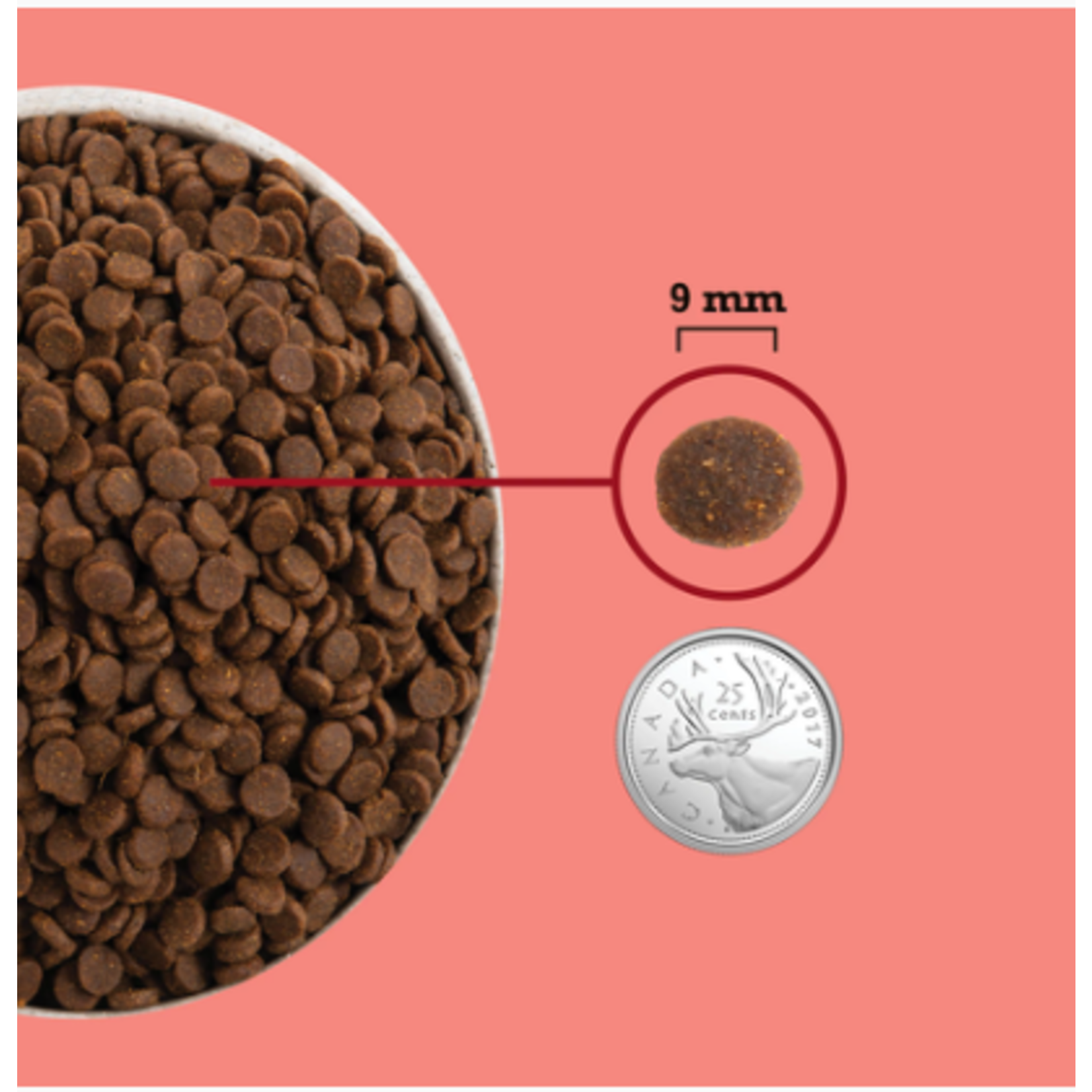 ACANA Acana Cat Highest Protein Indoor cat Adult