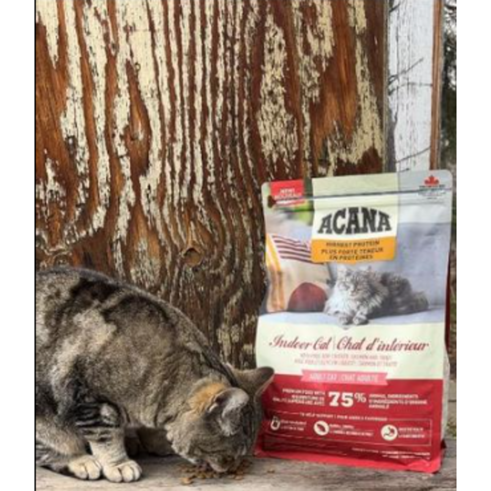 ACANA Acana Cat Highest Protein Indoor cat Adult
