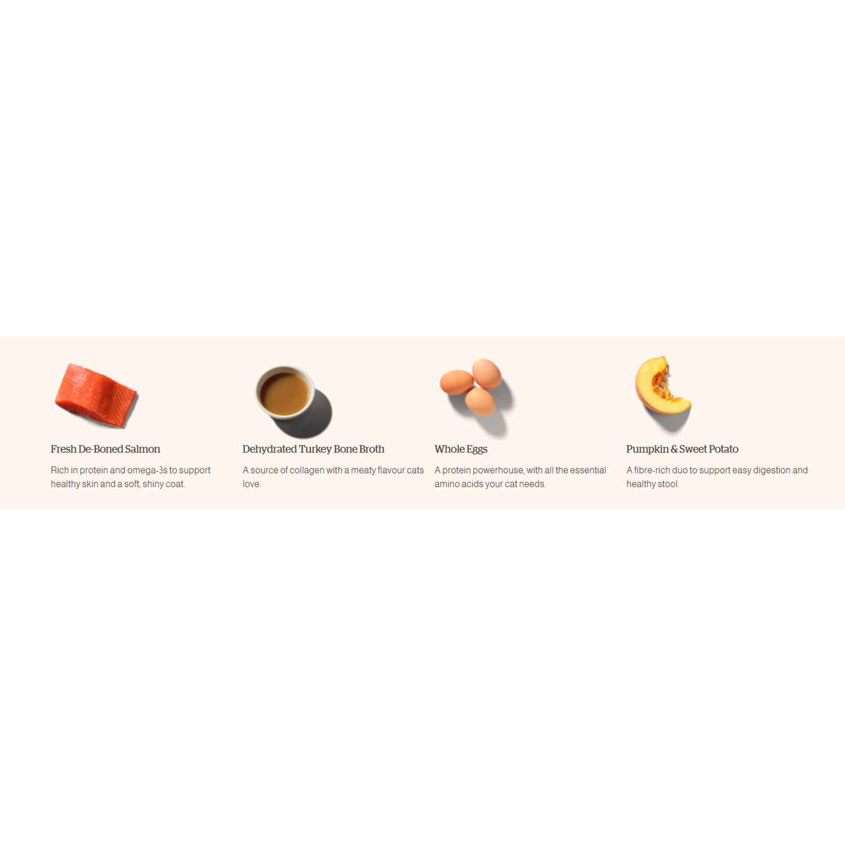 NOW Fresh Now Fresh Cat Good Gravy GF Adult Salmon