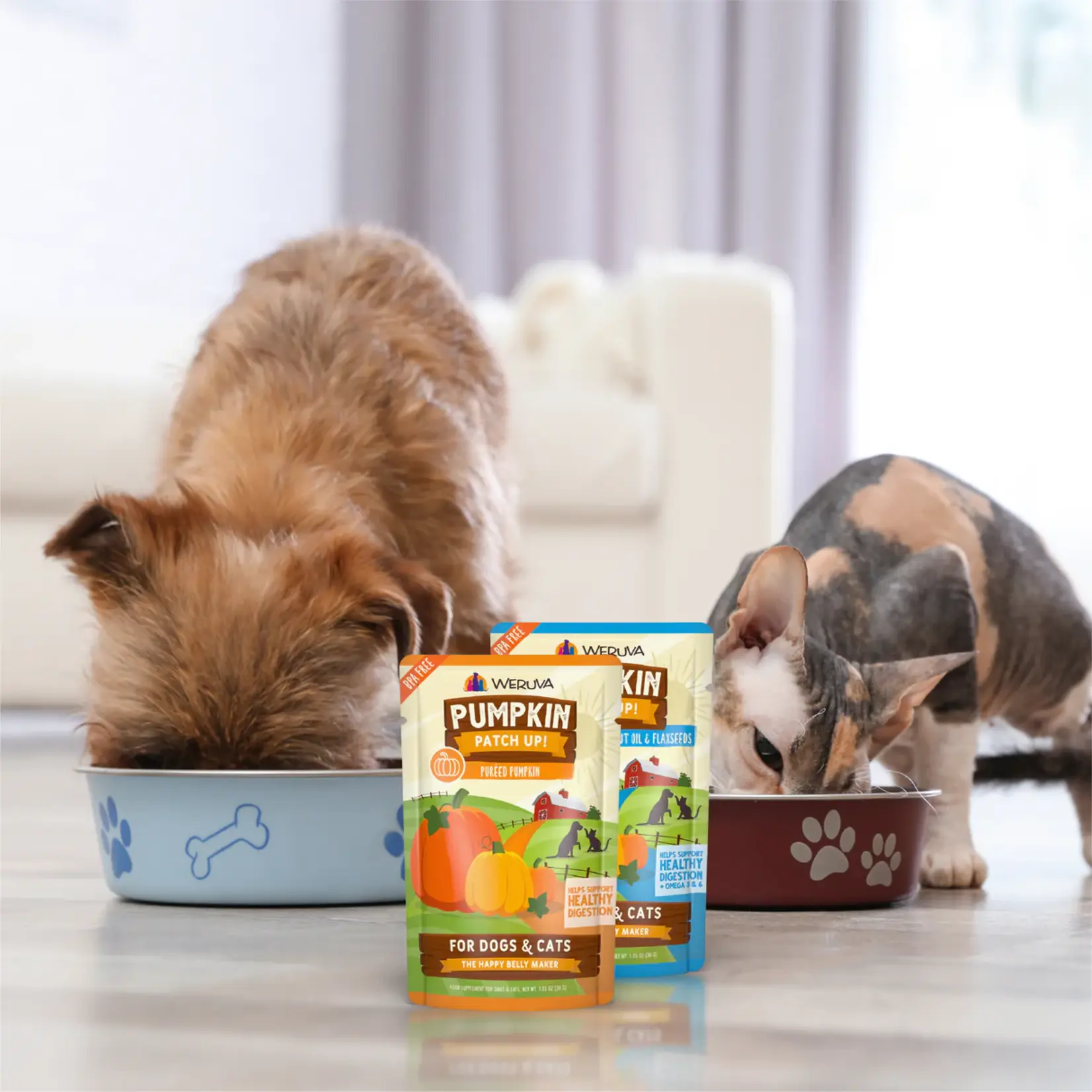 Weruva Weruva The Happy Belly Maker Pumpkin + Ginger + Turmeric Cat&Dog 12 x 2.8oz