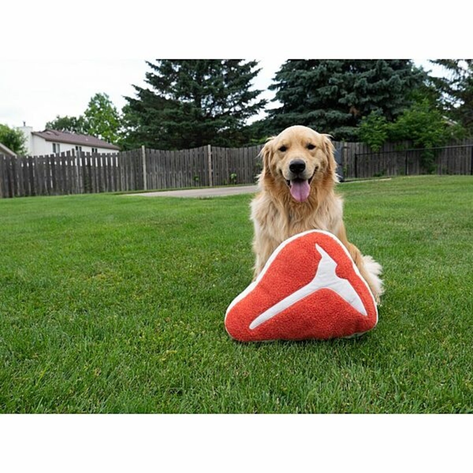 BBQ Plush Mega Steak Dog Toy