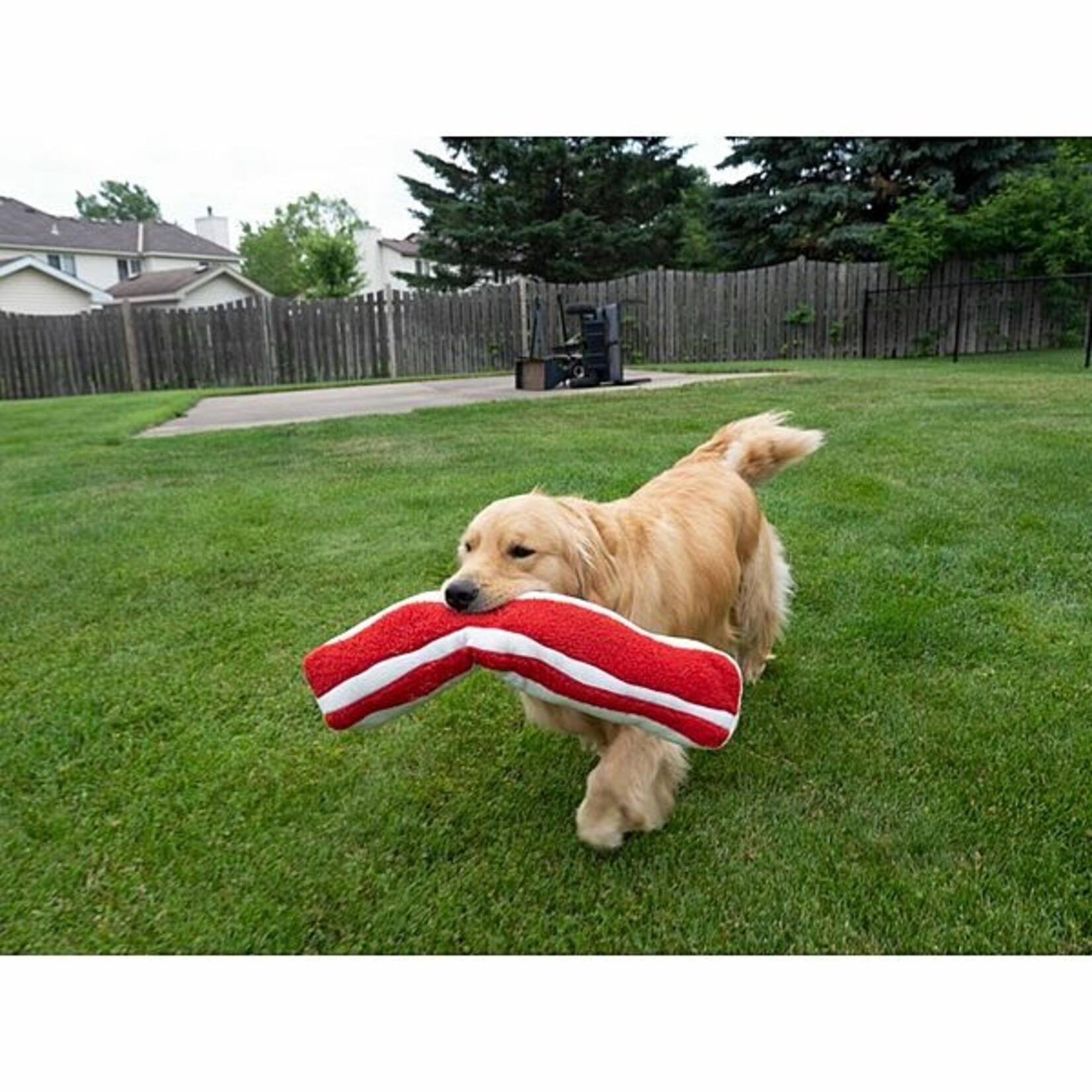 BBQ Plush Mega Bacon Dog Toy