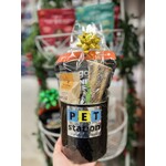 Holiday Gift Package for Dogs