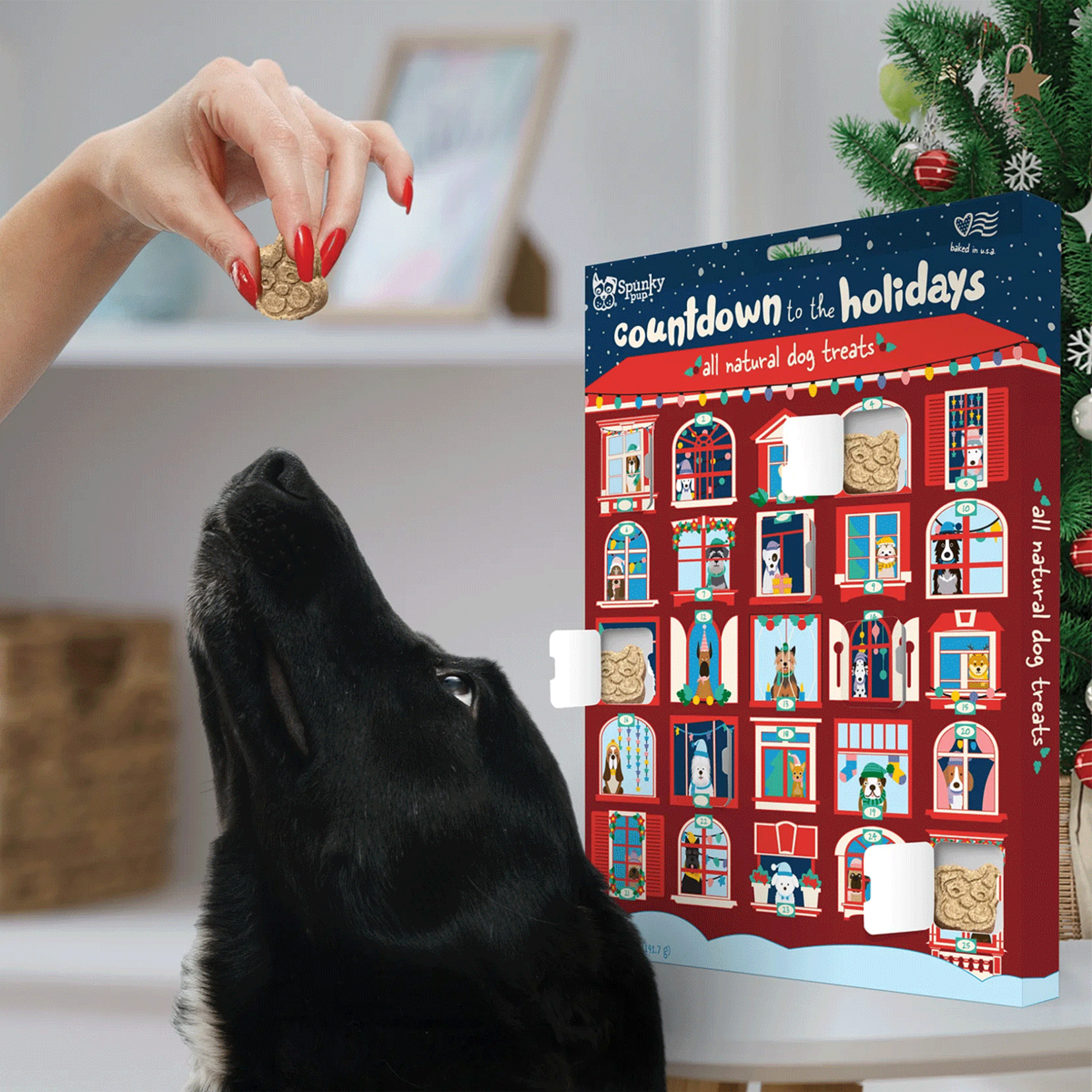 Dog Holiday advent Calendar
