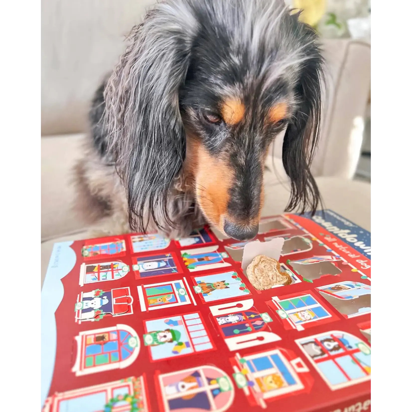 Dog Holiday advent Calendar