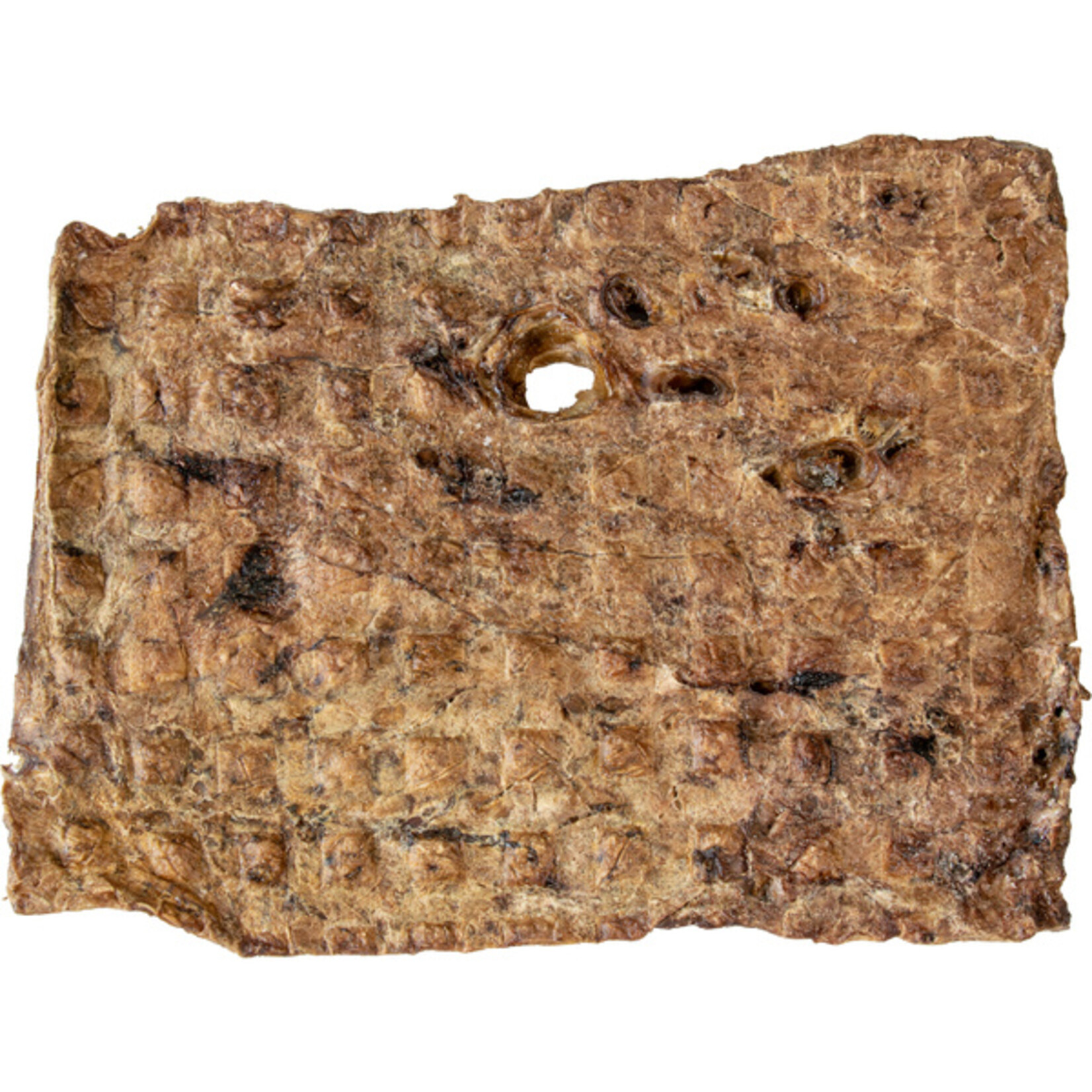 Asado Beef Lung Steak