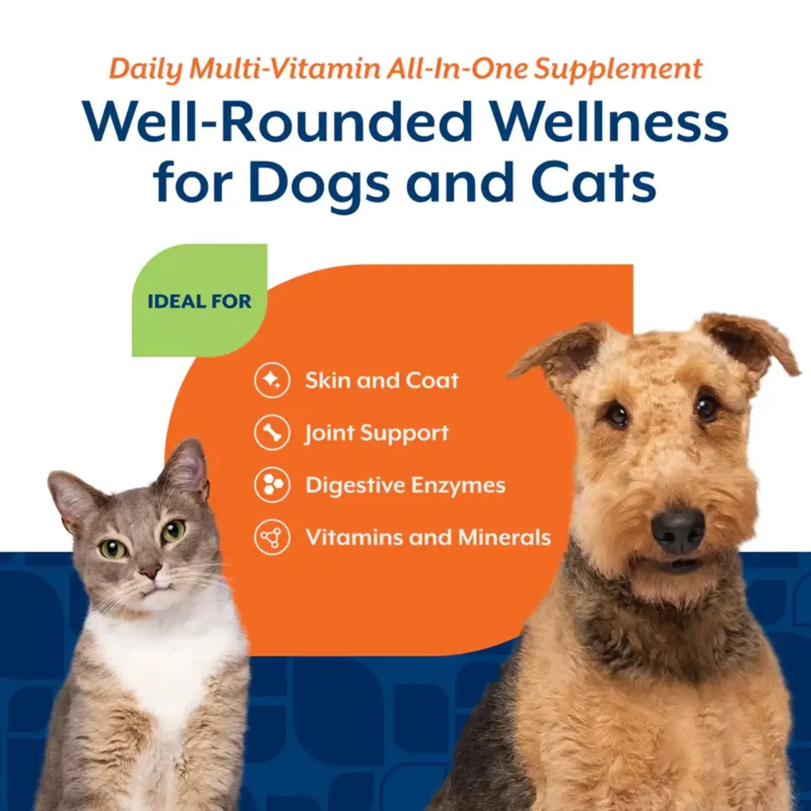 All in One  Supplement Powder 368.5 g