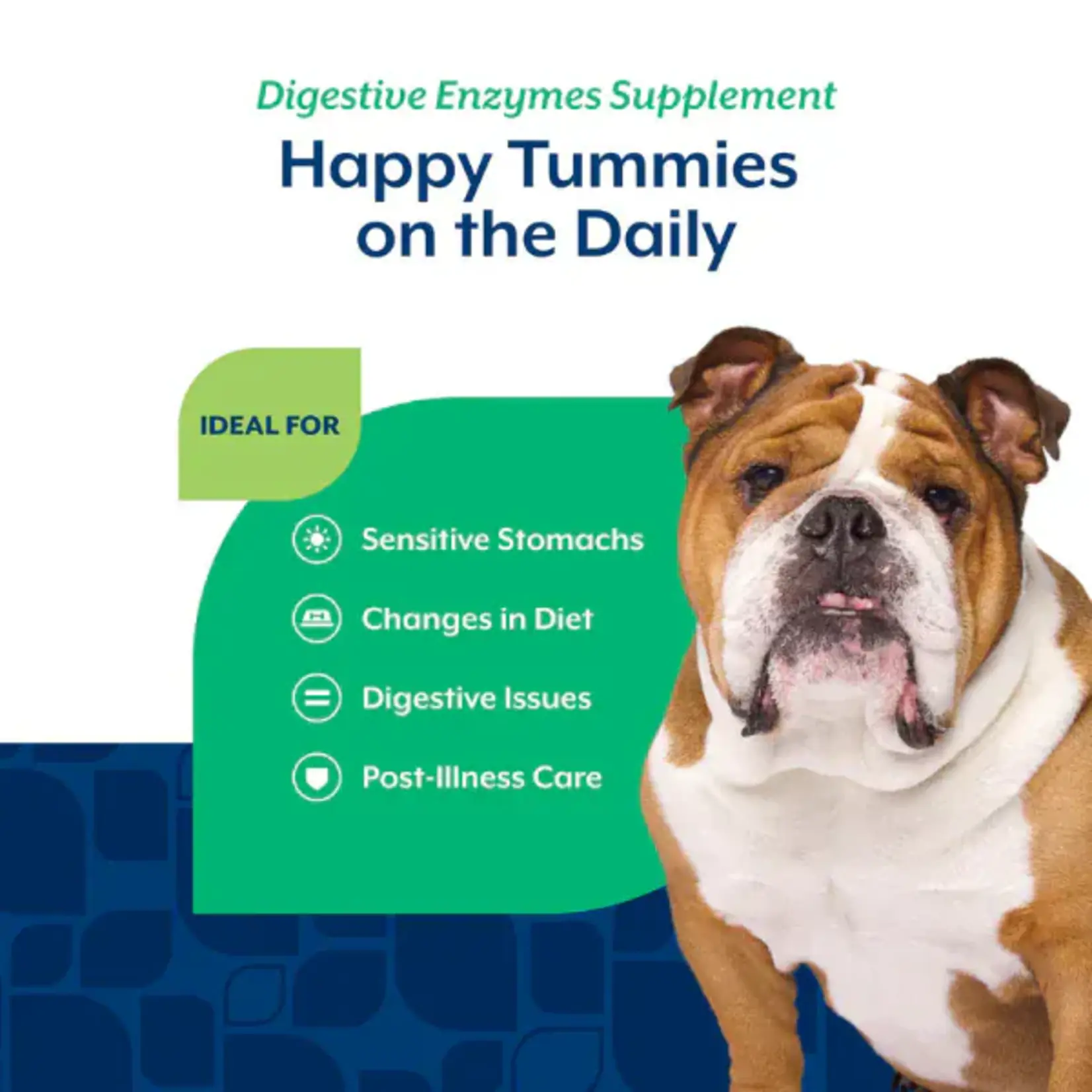 Naturvet Digestive Enzyme & Probiotic 70 Soft Chews for dog