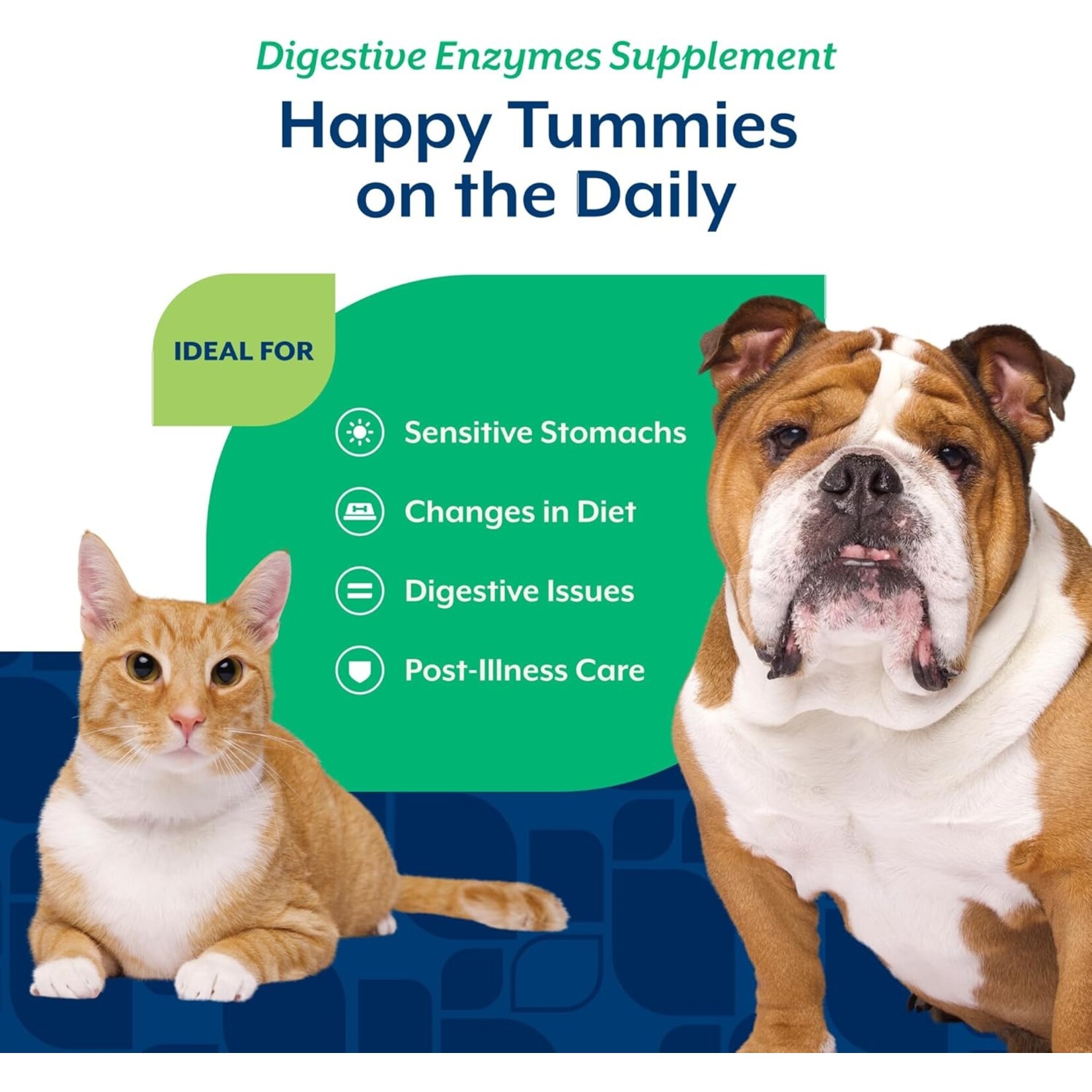 Naturvet Digestive Enzymes & Probiotic Powder 4oz Dogs & Cats