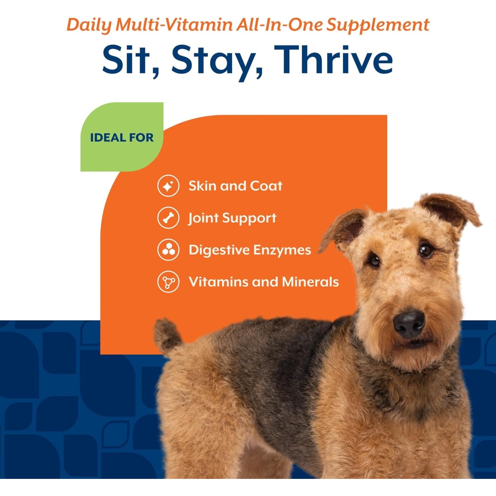 NaturVet Daily Multi Vitamin With 4-in-1 Support bacon & chicken flavor ( 120 soft chews)