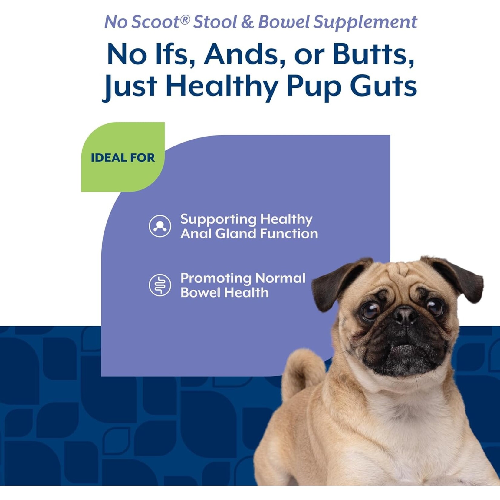 NaturVet Stool & Bowel No Scoot With Pumpkin Supplement Powder (155g)