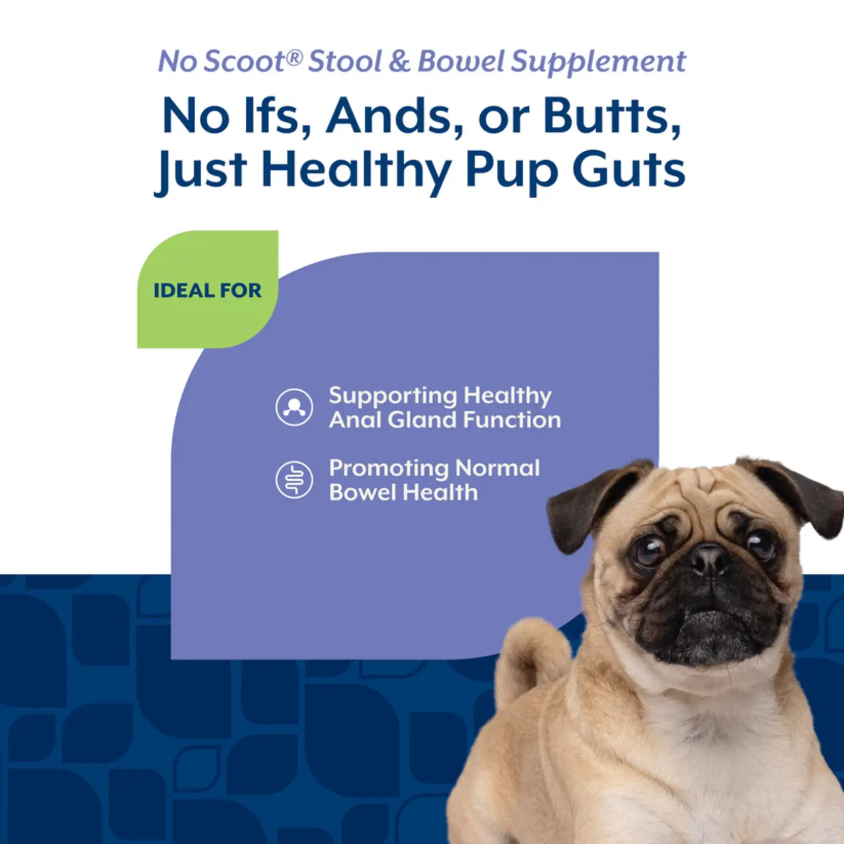 NaturVet Stool & Bowel No Scoot With Pumpkin (120soft chews) Hickory smoked bacon flavor