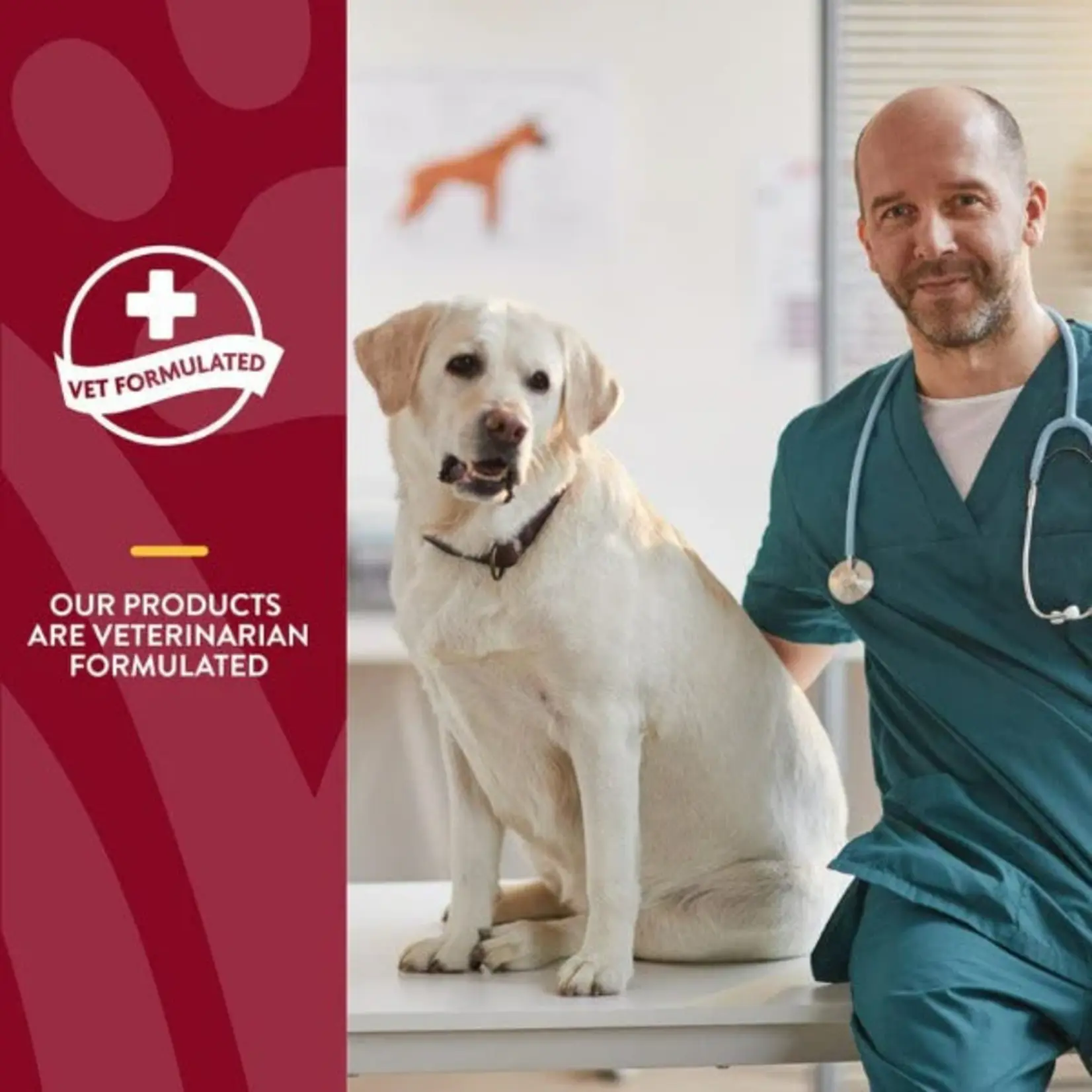 NaturVet Bladder Support Daily Maintenance+ Cranberry (60 soft chews)