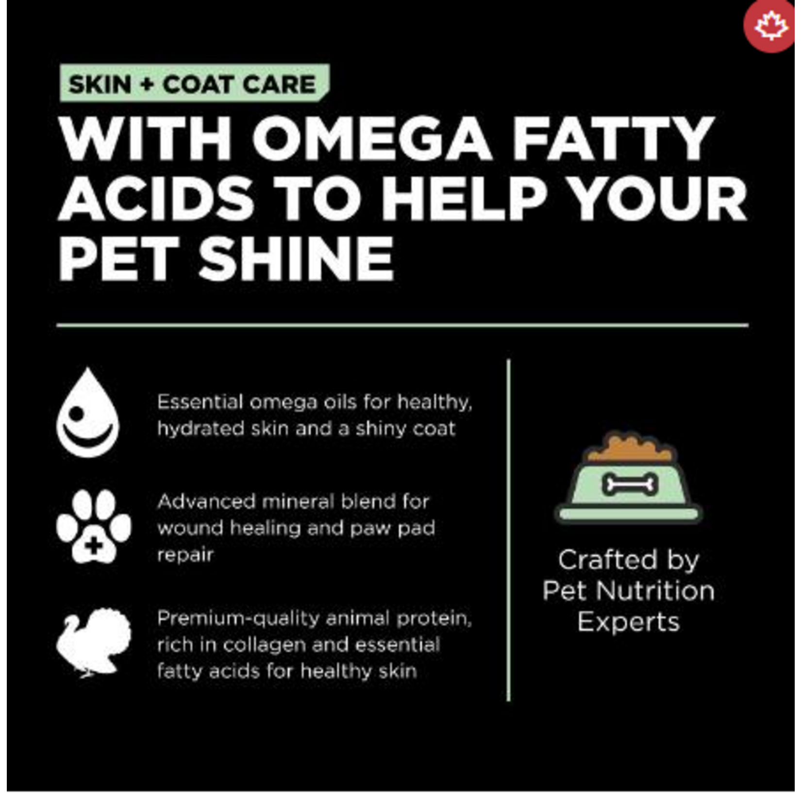 go! solutions Go! dog skin & coat Turkey Recipe with Grains  3.5lb