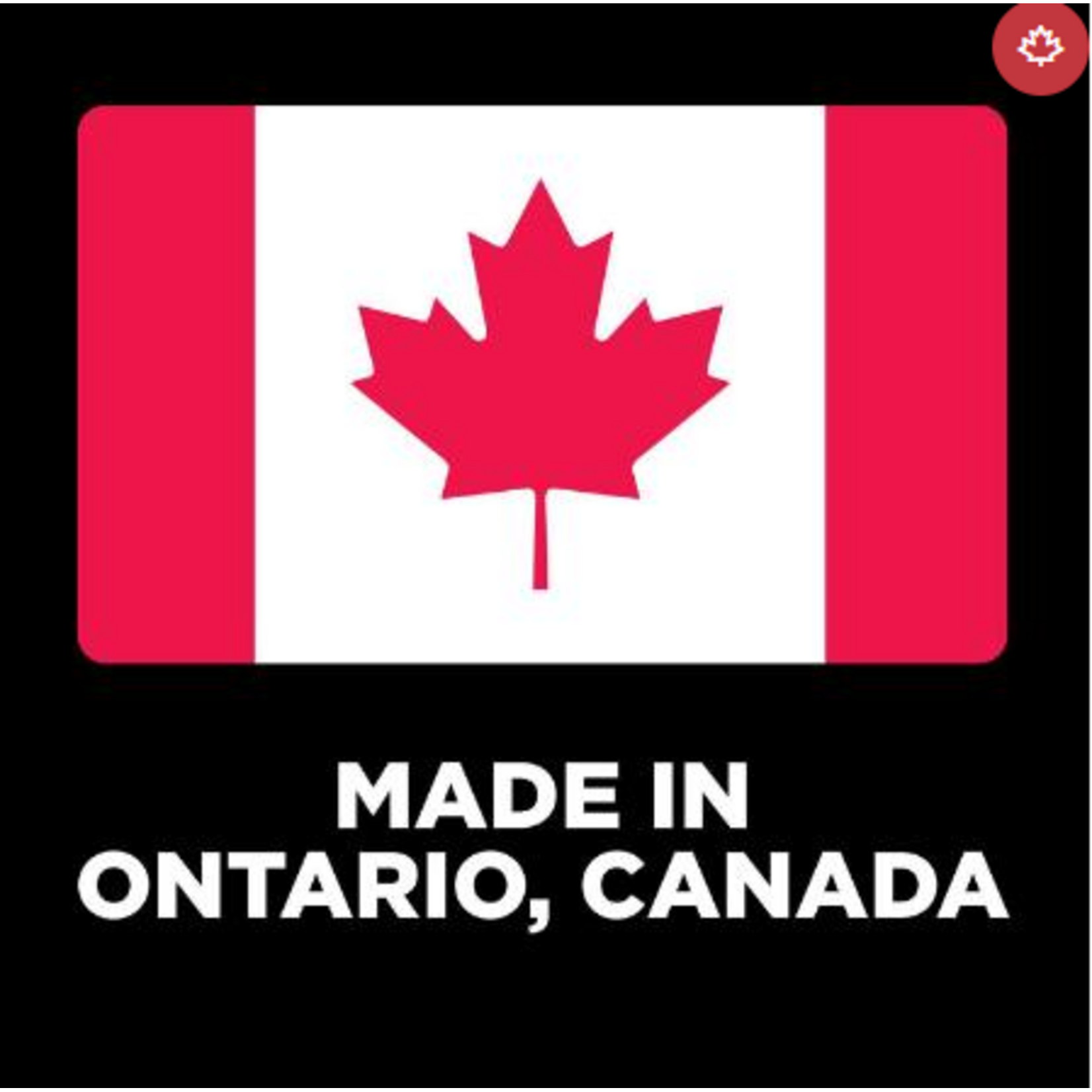 go! solutions Go! dog skin & coat Turkey Recipe with Grains  3.5lb