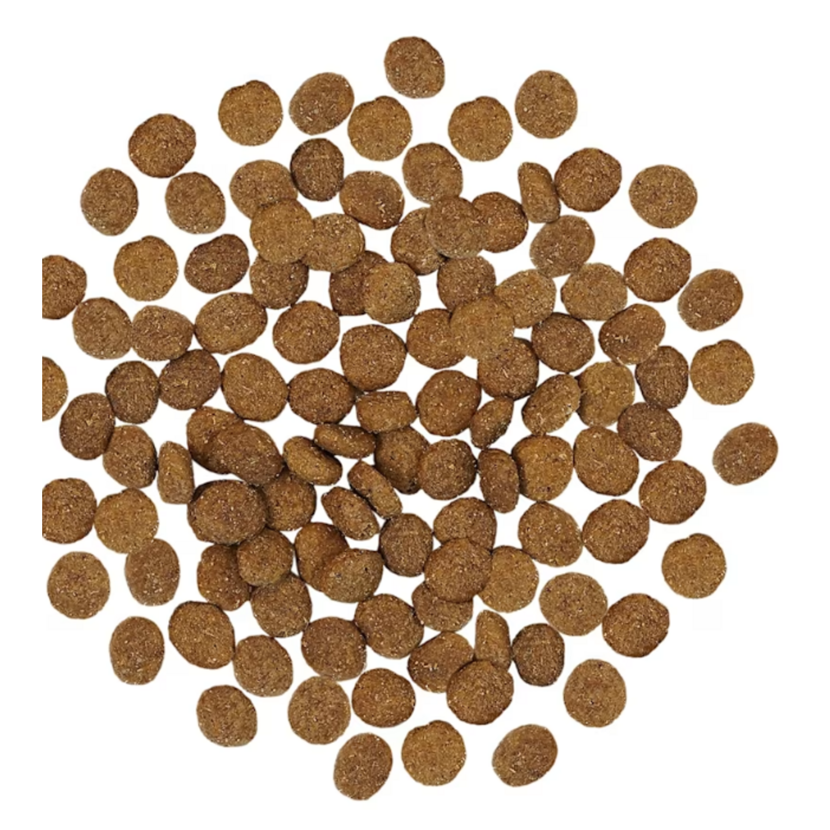 go! solutions Go! dog skin & coat Turkey Recipe with Grains  3.5lb