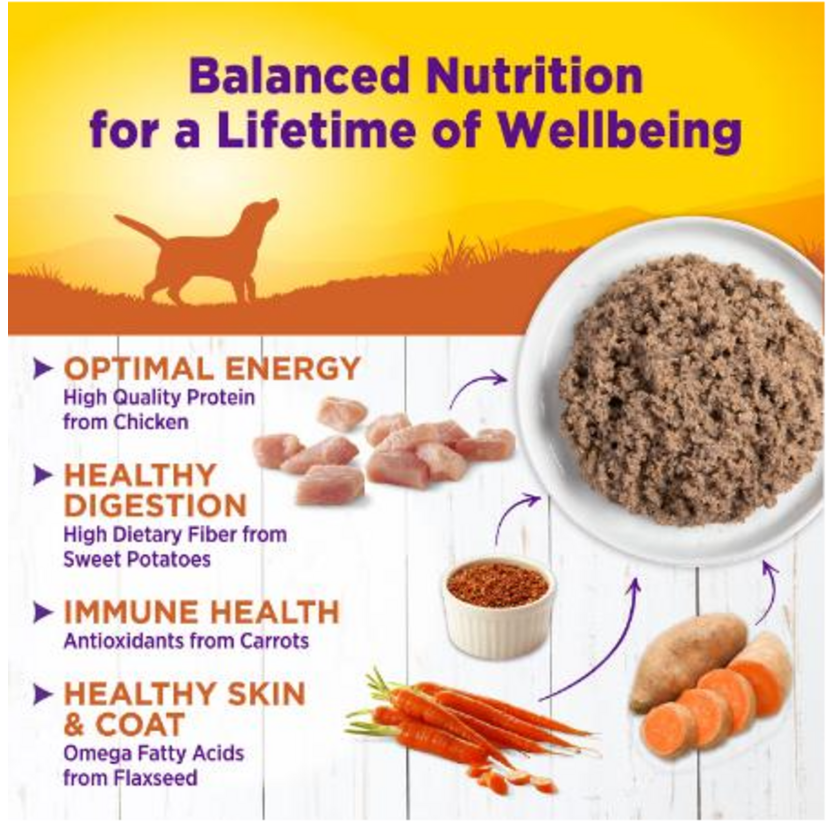 Wellness dog wet food Turkey & Sweet Potato 12.5 OZ