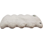 Extra Large Soft Cloud Bed 60x32x2in