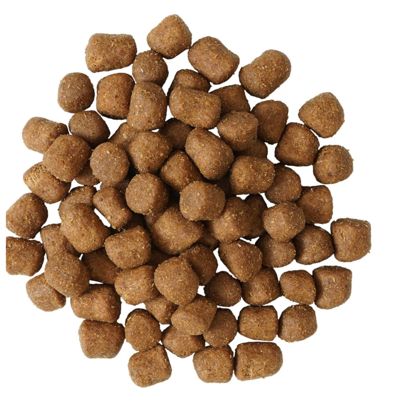 go! solutions Go! Dental & Immune Health Chicken & Salmon Recipe for cats