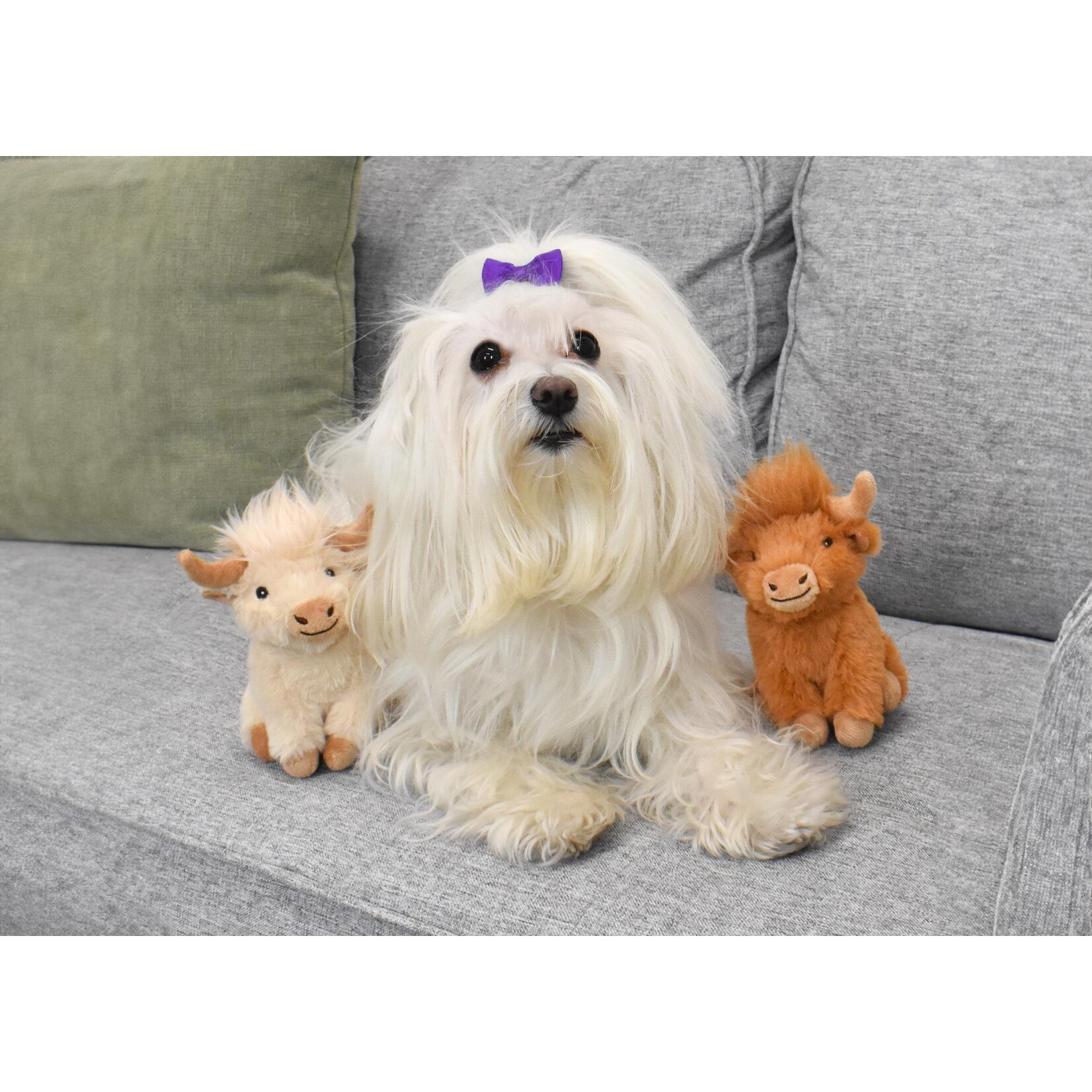 Multipet Toy Highland Cow White (8in)