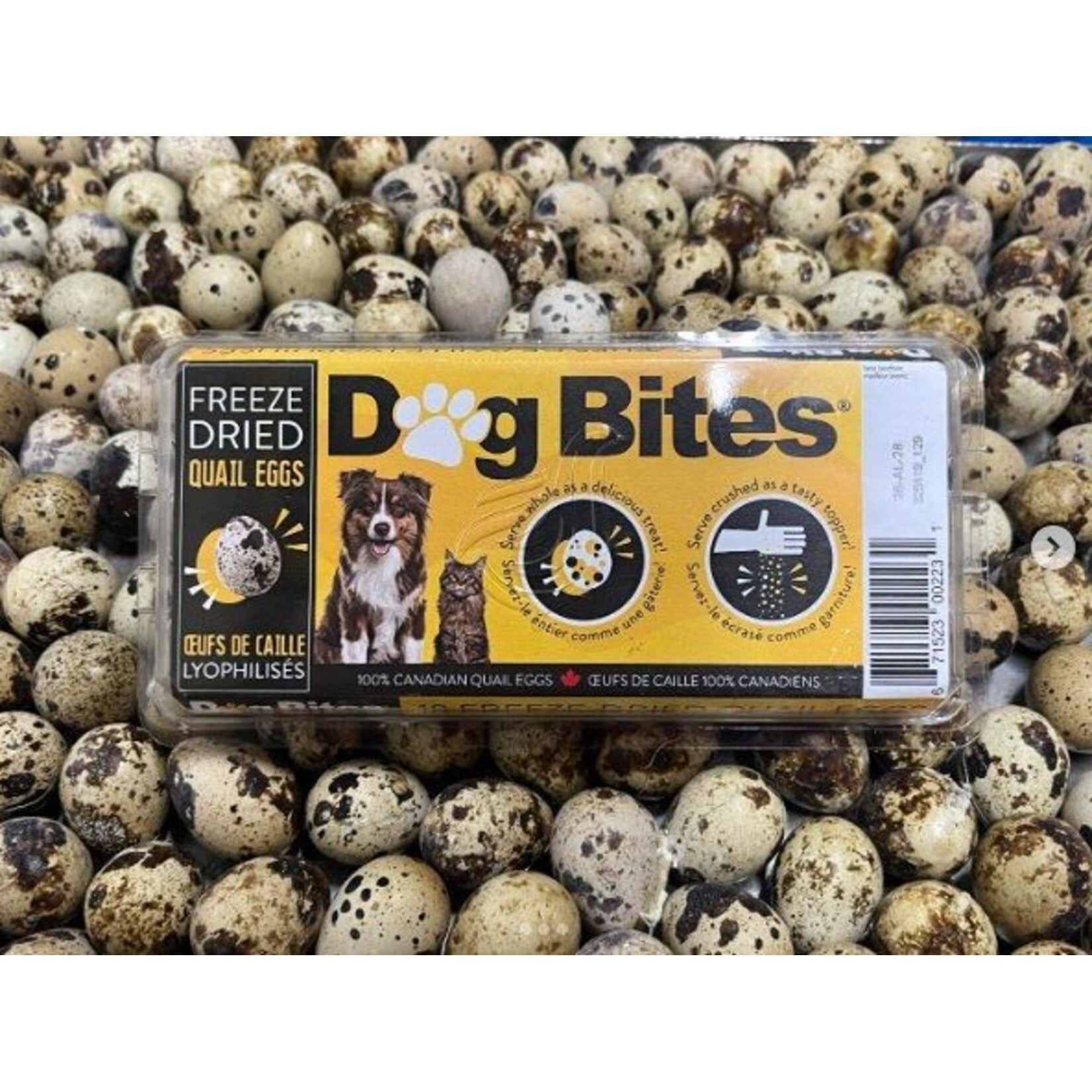 Dog Bites Dog Bites Freeze Dried Quail Eggs 18pk