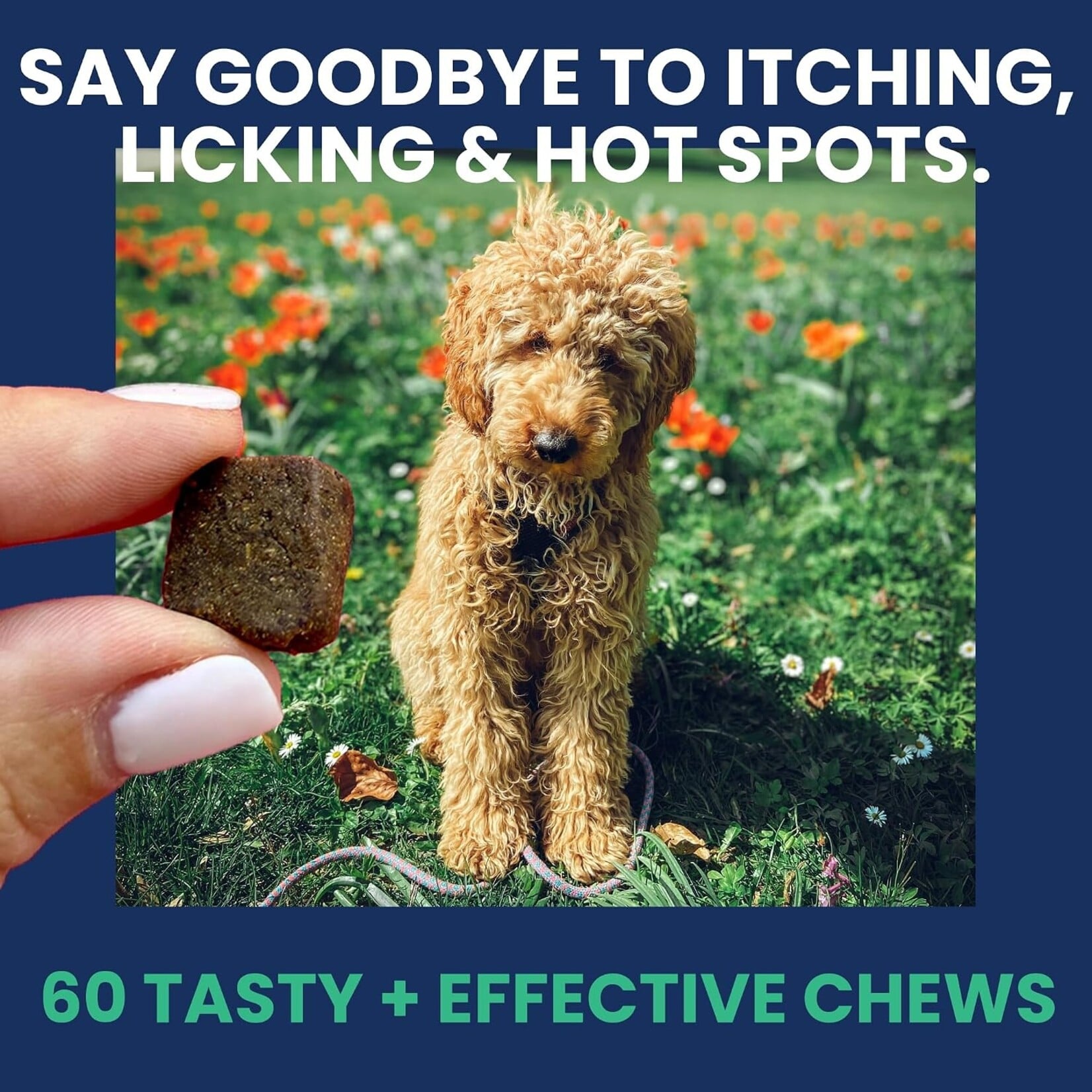 Under the Weather Allergy & Itch Soft Chew For Dog 60ct (120g )