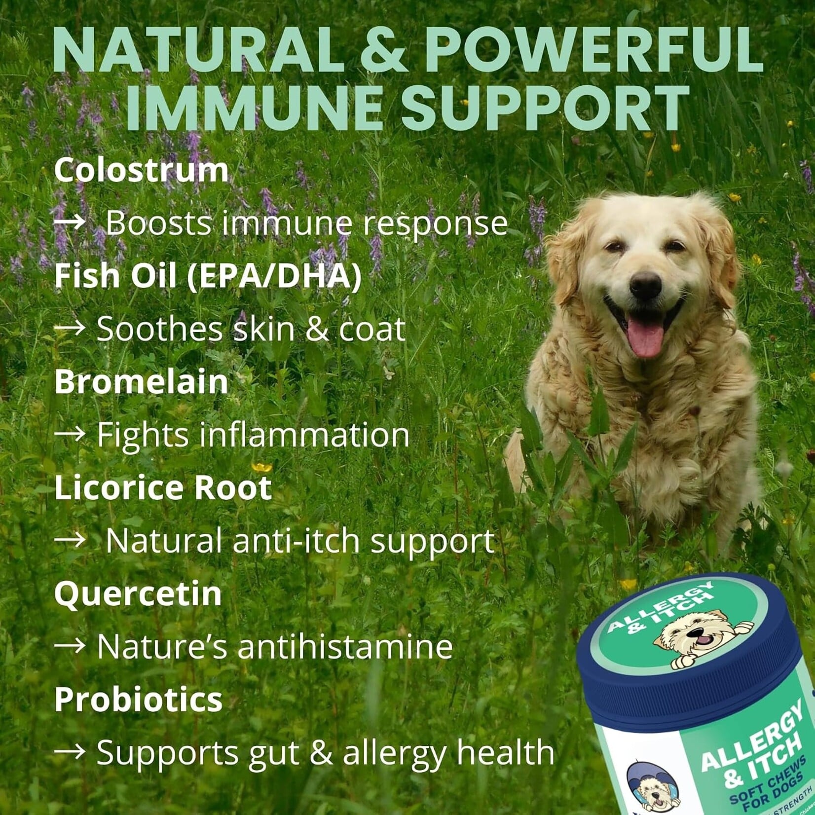 Under the Weather Allergy & Itch Soft Chew For Dog 60ct (120g )