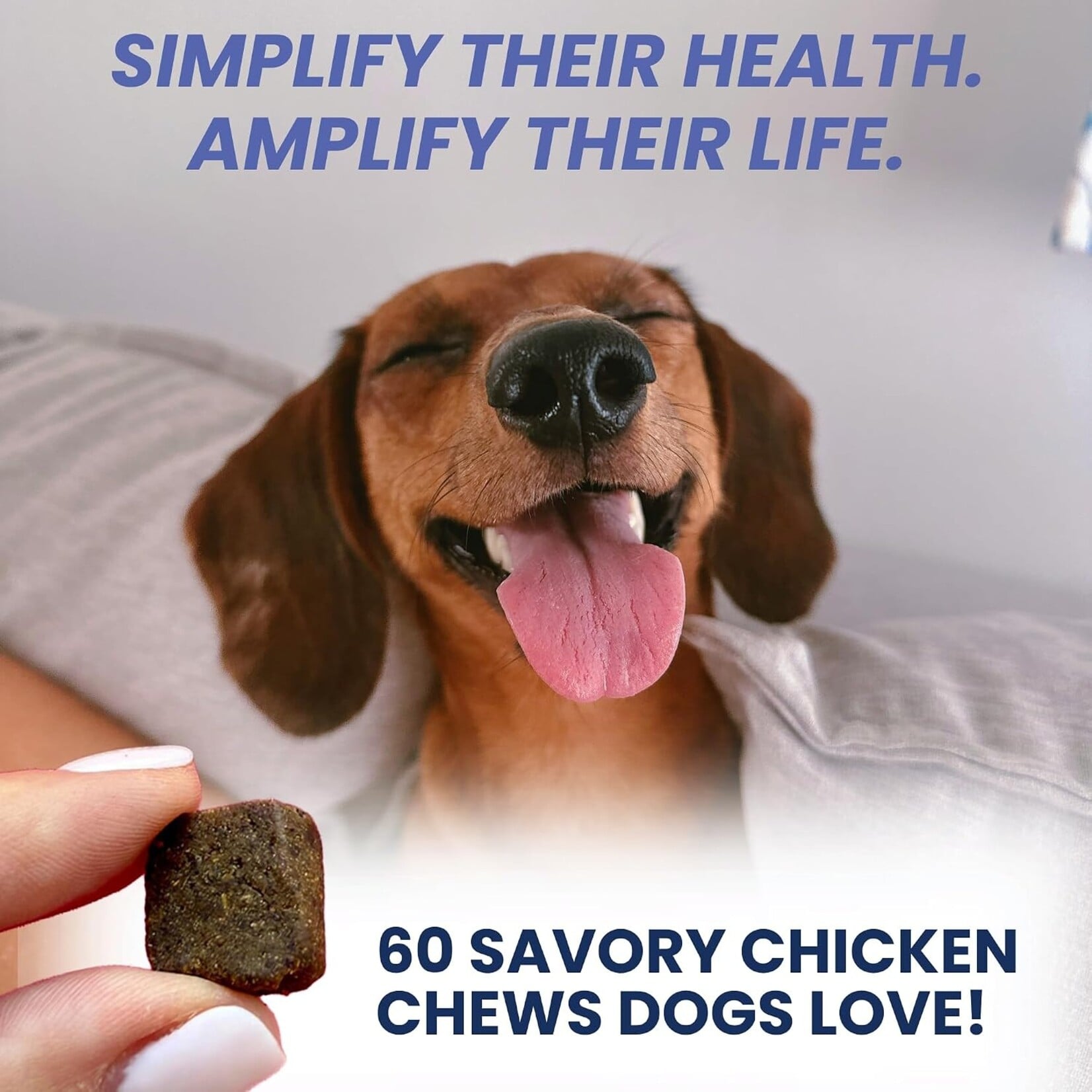Under the Weather Multivitamin Soft Chew For Dog 60ct (120g )