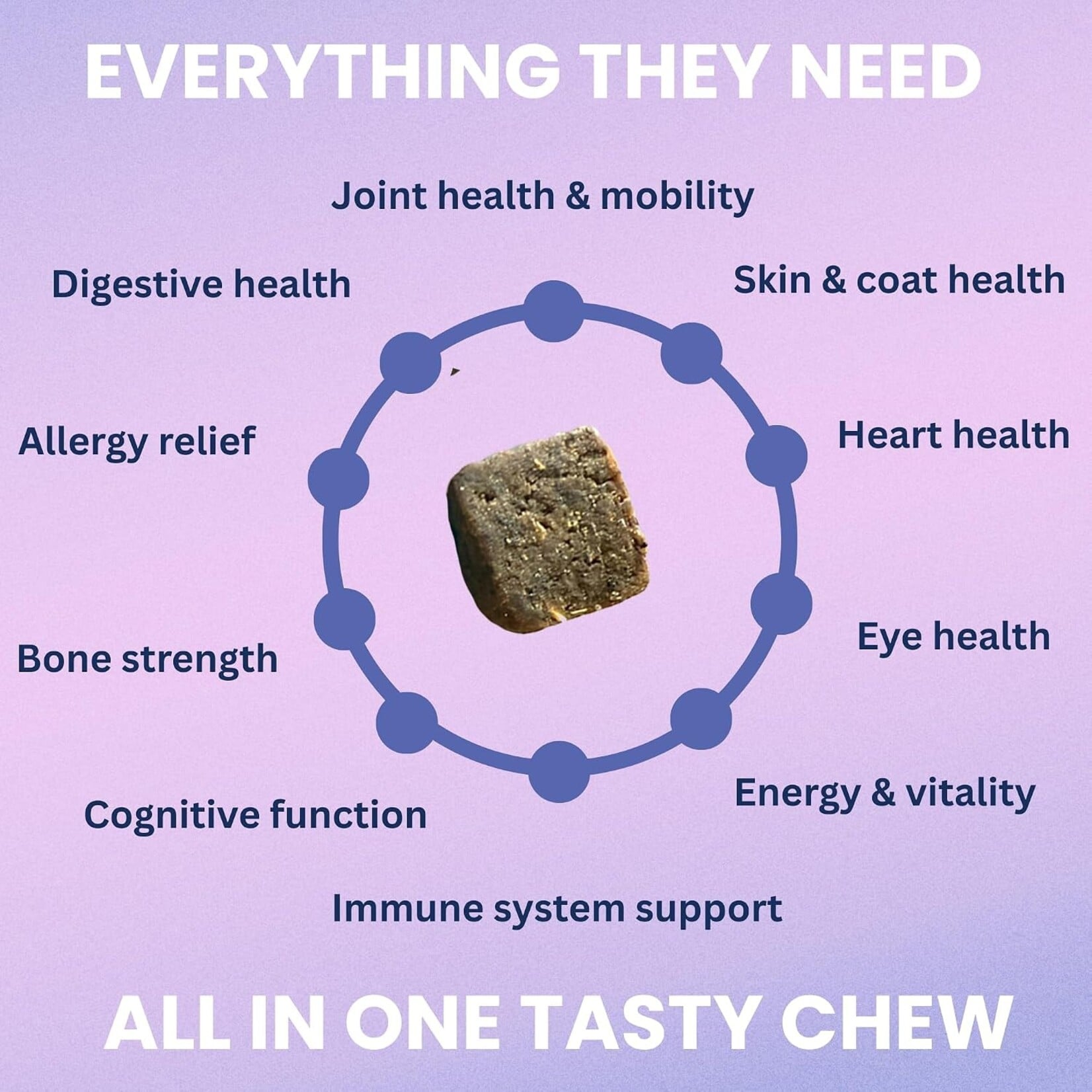 Under the Weather Multivitamin Soft Chew For Dog 60ct (120g )