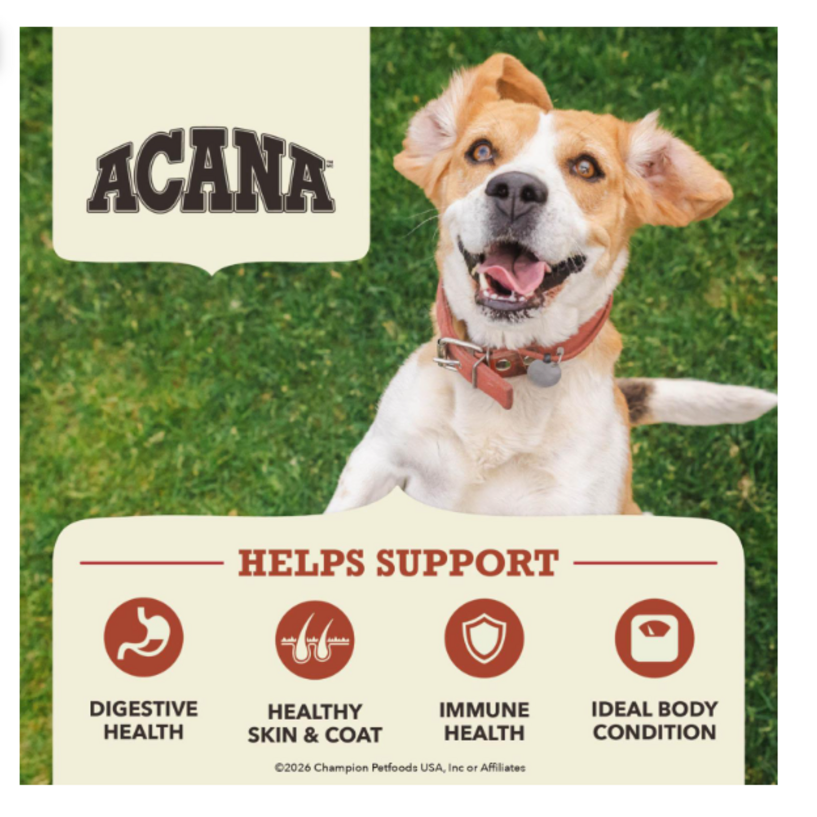 ACANA Acana Dog Beef & Pumpkin