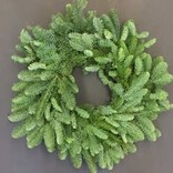 Noble Fir Wreath - 10"