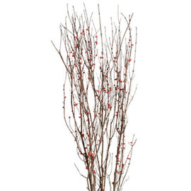 Natural Branches with Red Berries